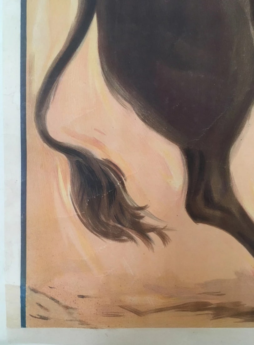 Original Vintage Spanish Llapisera Bull Fight Poster Linen Backed - 4