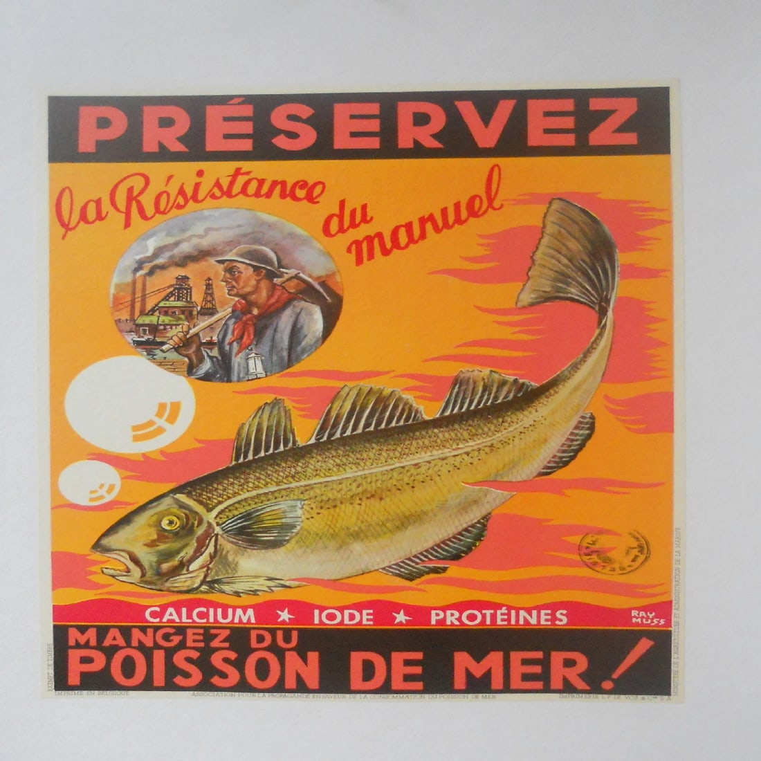 Original Vintage c.1940 Orange Poisson de Mer Fish Poster Linen Backed - 2