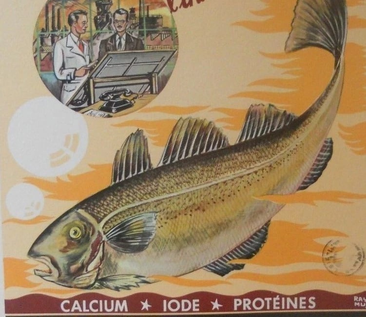 Original Vintage c.1940 Brown Poisson de Mer Fish Poster Linen Backed - 3