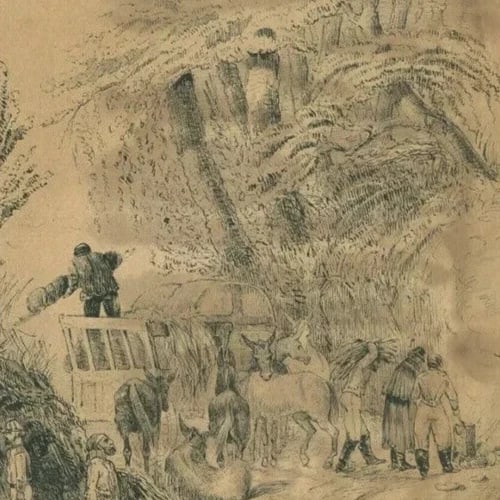 19th century Figures, Animal, El-Arrouch, Algeria Drawing Antique Ink Original - 6