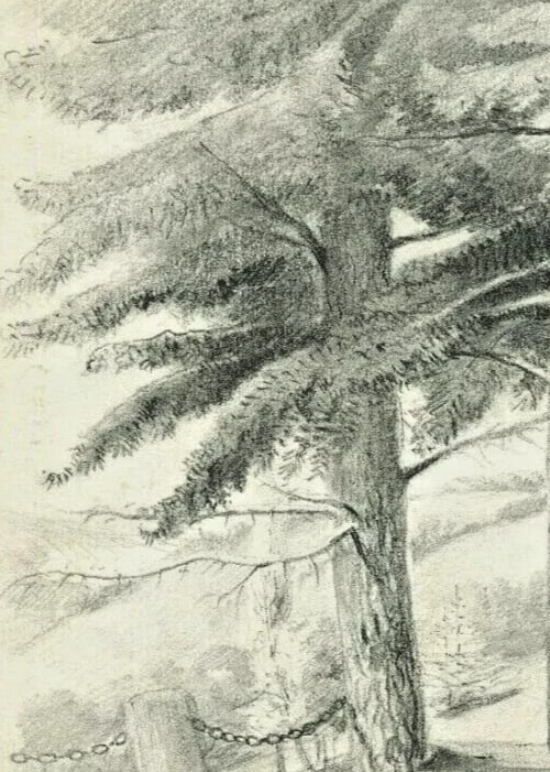 Landscape Chemin de Fer, Lyon, Rignon Antique Pencil Drawing Original 19th - 5