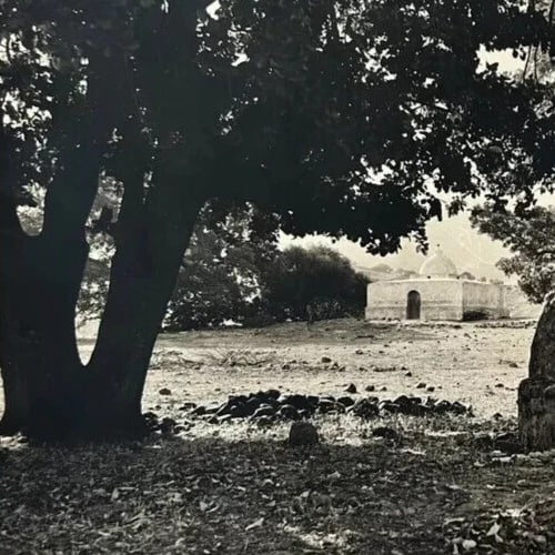 1870 Algeria Landscape Photographs Vintage Original Albumen - 4