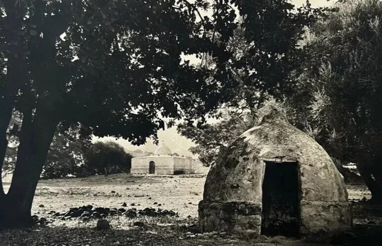 1870 Algeria Landscape Photographs Vintage Original Albumen - 7