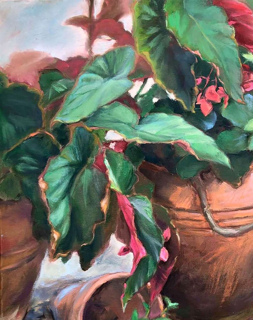 Oil painting Begonia Procach Olesia - 2