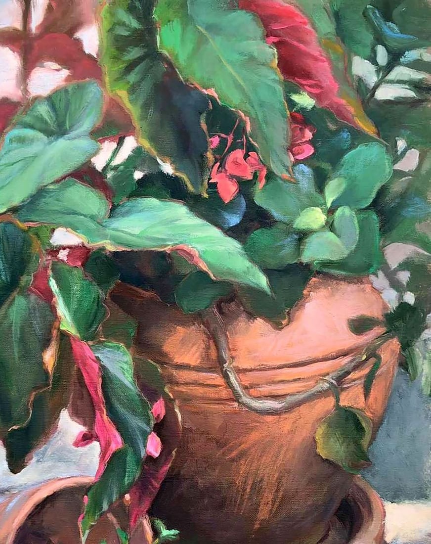 Oil painting Begonia Procach Olesia - 3