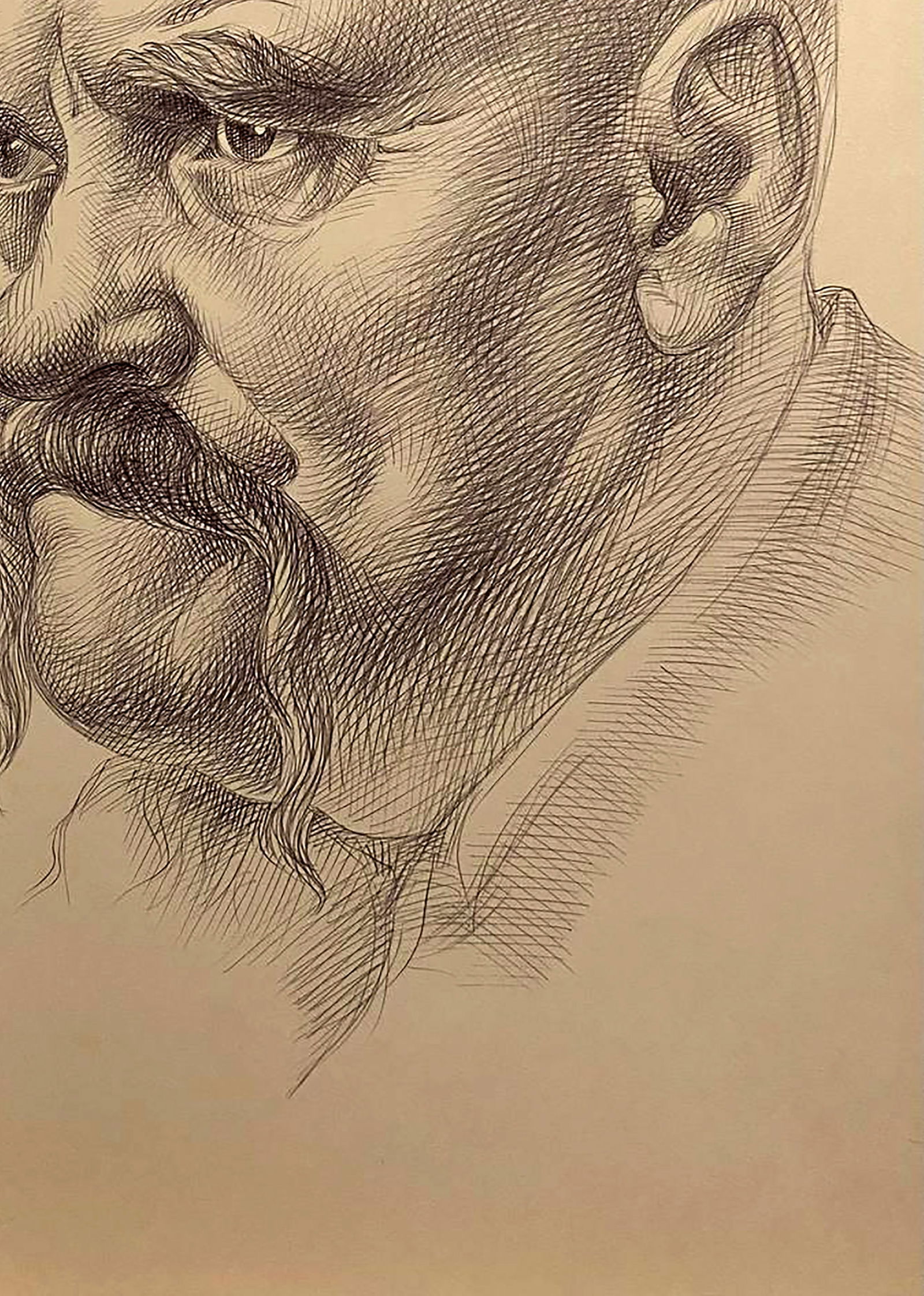 Pen painting Portrait of a man with a moustache Natalia Bulat - 5