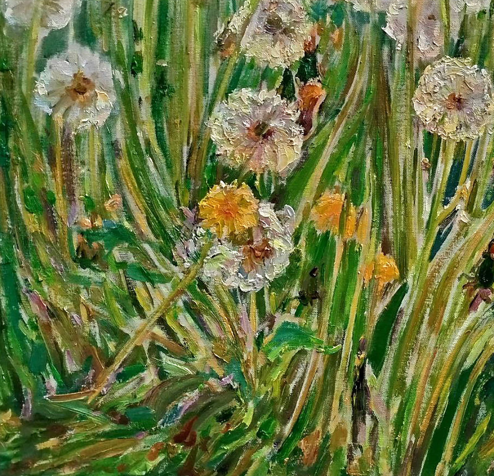 Oil painting Dandelions Leonid Pavlenko - 4