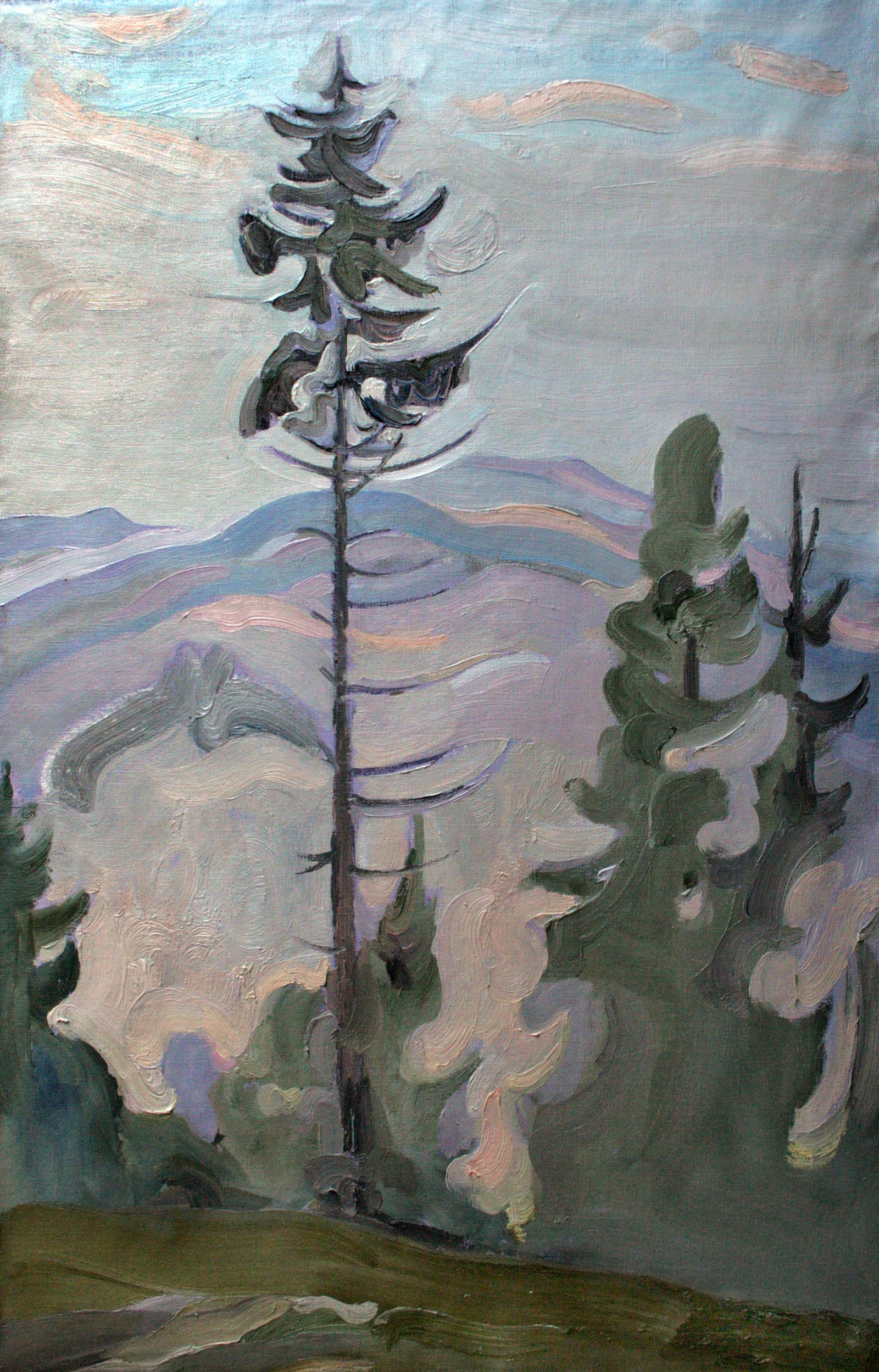 Oil painting Spruce Leonid Pavlenko: Title: Oil painting Spruce Leonid Pavlenko Description: 76PAVL Painter: Leonid Pavlenko Size: 80x50 cm/31.49x19.68 inches Components: oil, canvas Original painting CONDITION: excellent ARTIST: Born