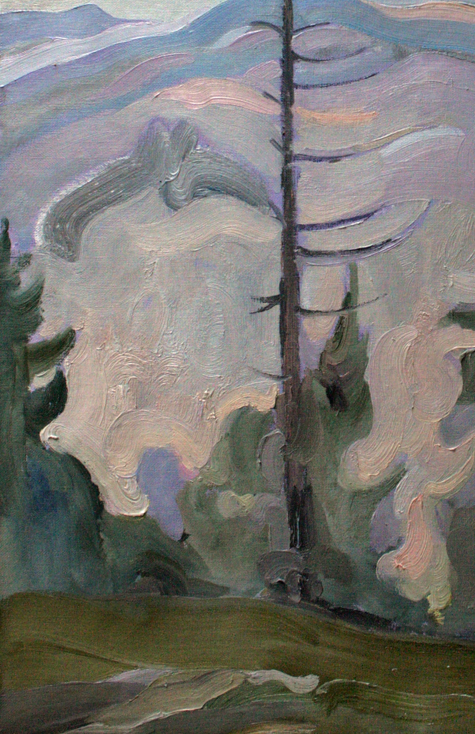 Oil painting Spruce Leonid Pavlenko - 4