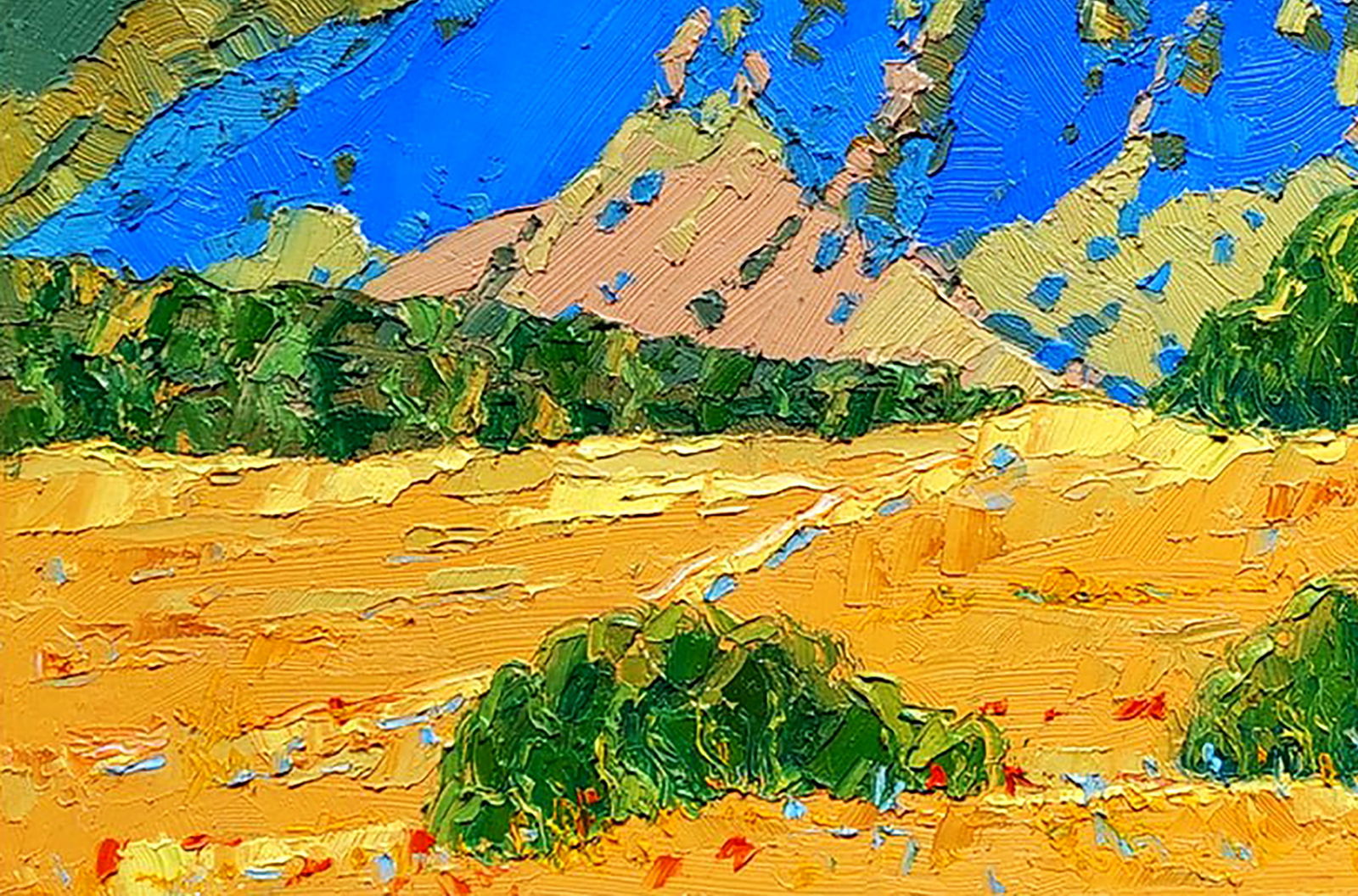 Oil painting In the Carpathians Yaroslav Savchyn - 4