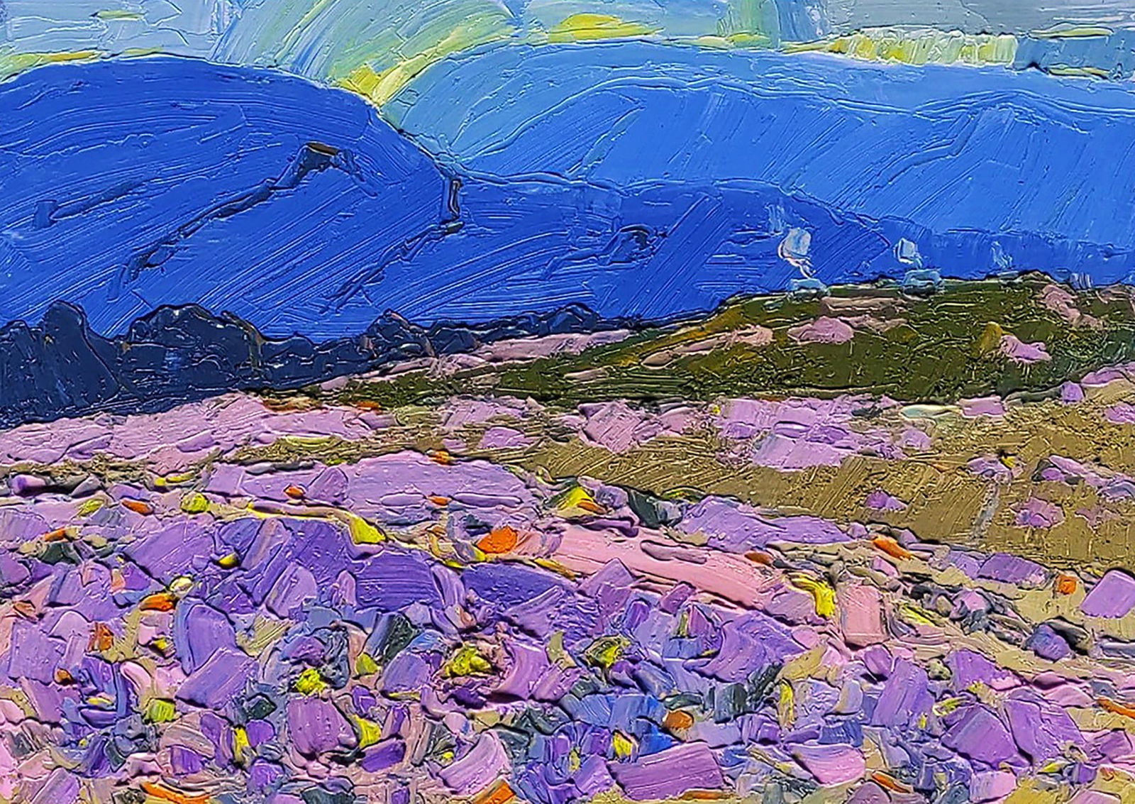Oil painting Spring on a mountain meadow Yaroslav Savchyn: Title: Oil painting Spring on a mountain meadow Yaroslav Savchyn Description: 8SAVCH Painter: Yaroslav Savchyn Size: 25x35 cm/9.84x13.77 inches Components: oil, canvas on cardboard Original painting