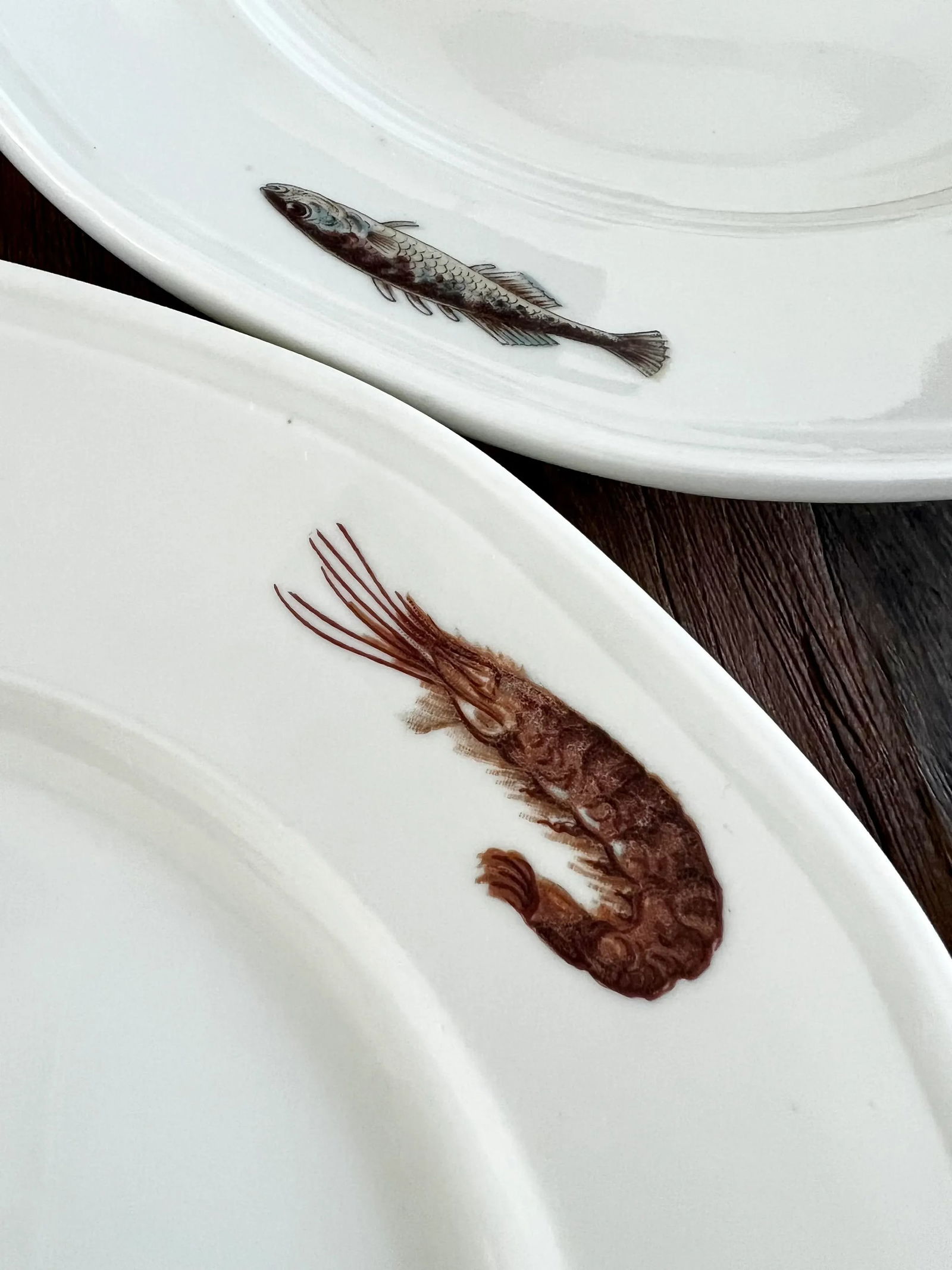 1970s Richard Ginori Italy Nautical Fish Porcelain Plates- Set of 6 - 6