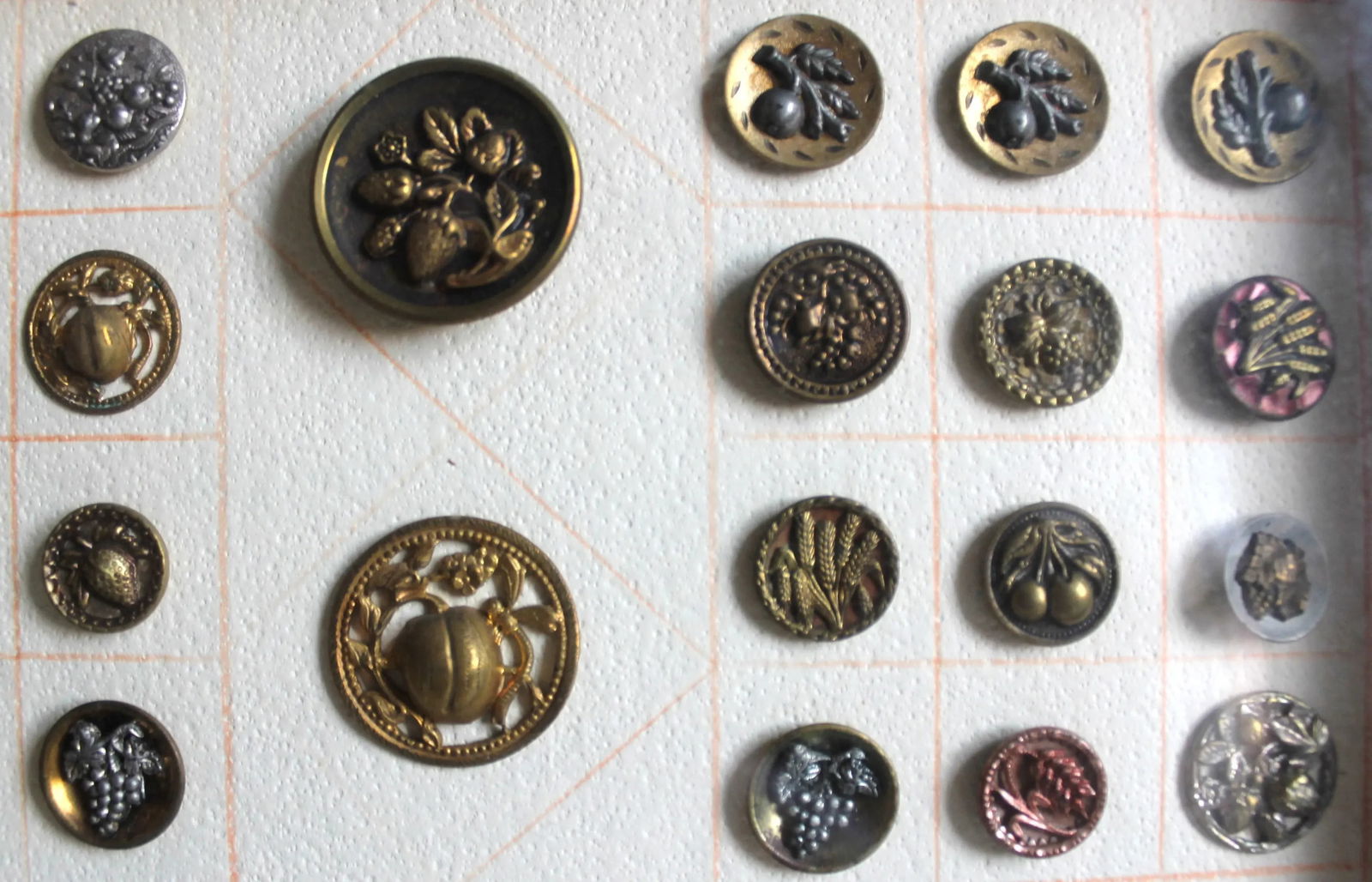 1920s Fruit Buttons Vintage in Shadow Frame, 62 - 2