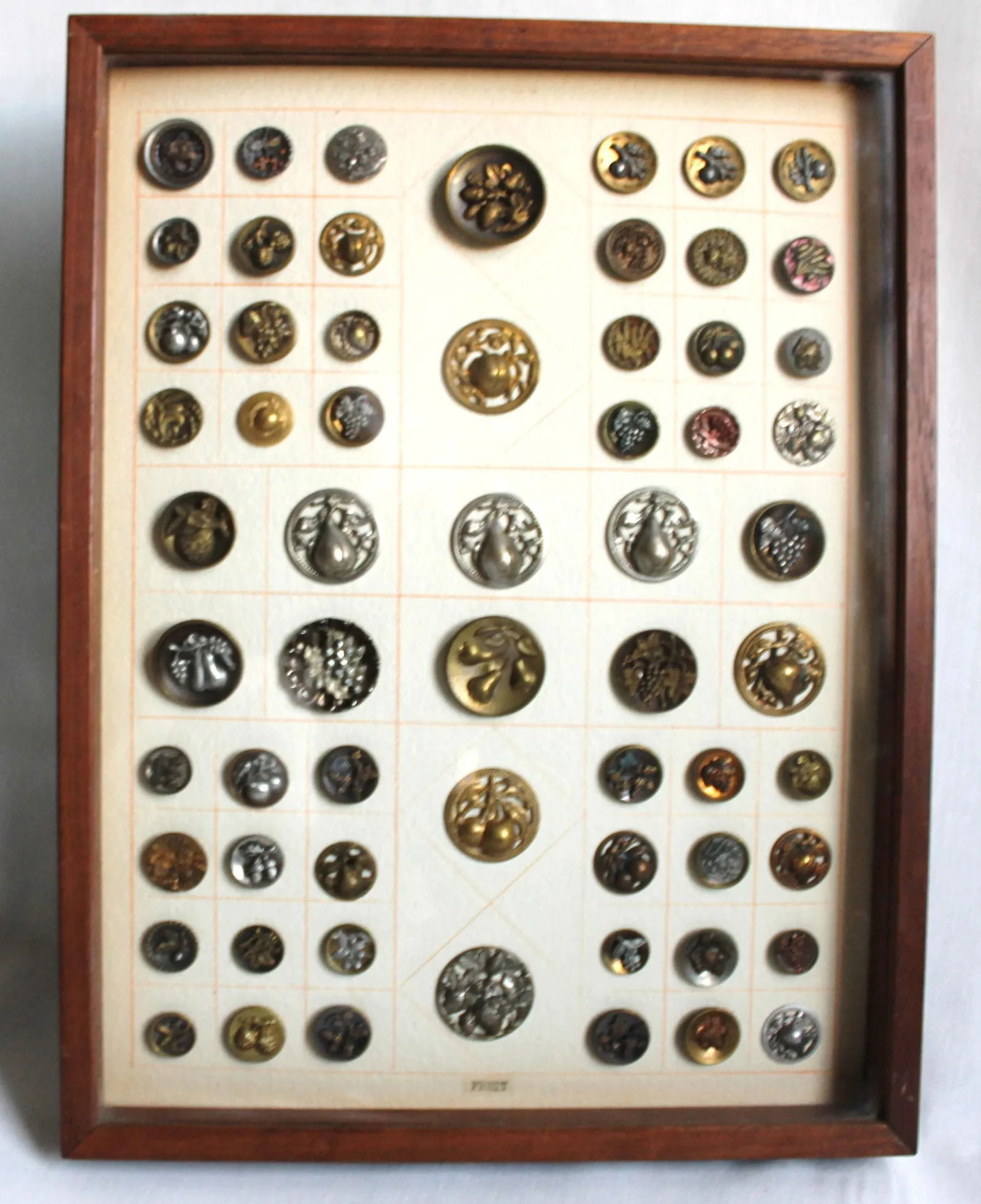1920s Fruit Buttons Vintage in Shadow Frame, 62 - 3