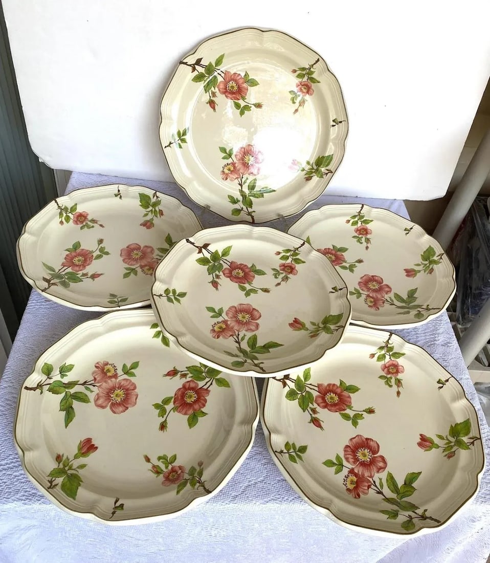 Sangostone Pink Blossom Dinner Plate & Platter Set of 5 - Pink Sakura Flowers, Yellow Centers, Green - 2