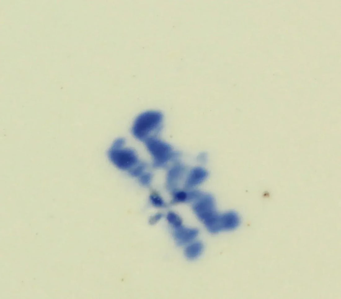 Circa 1850 Copeland Late Spode Stone China Shell Shaped Dish Cabbage Pattern 2061 - 12