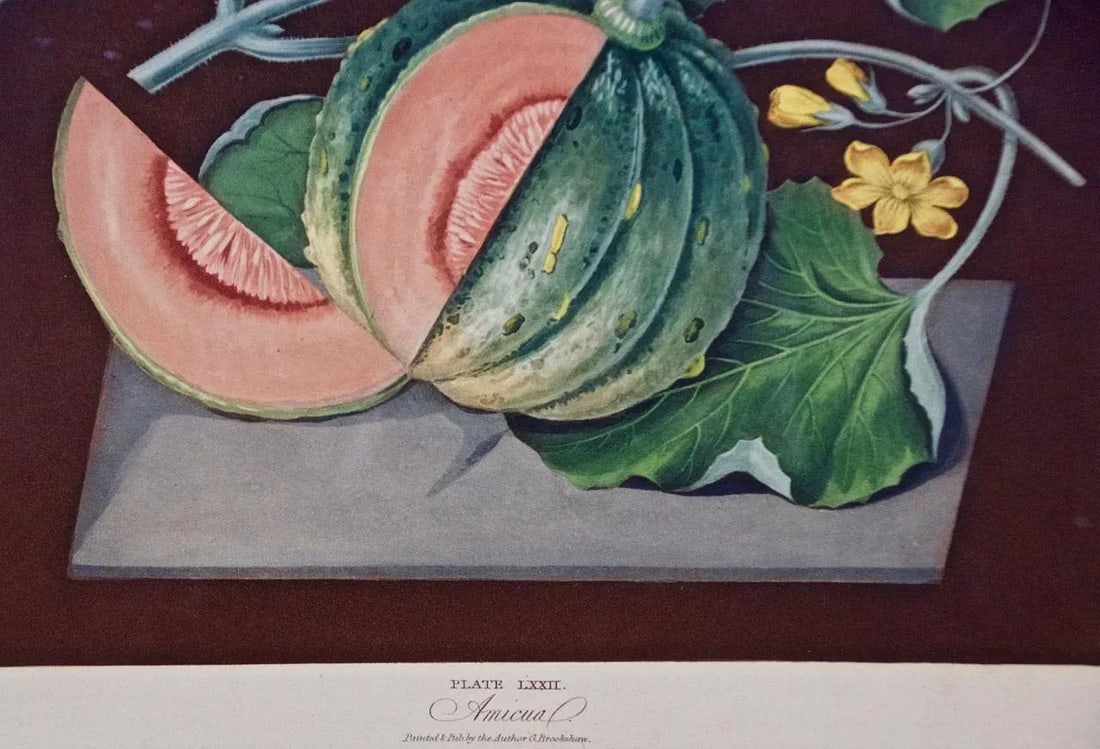 Amicua Melon Hand Finished Color Engraving by George Brookshaw , 1812 - 5
