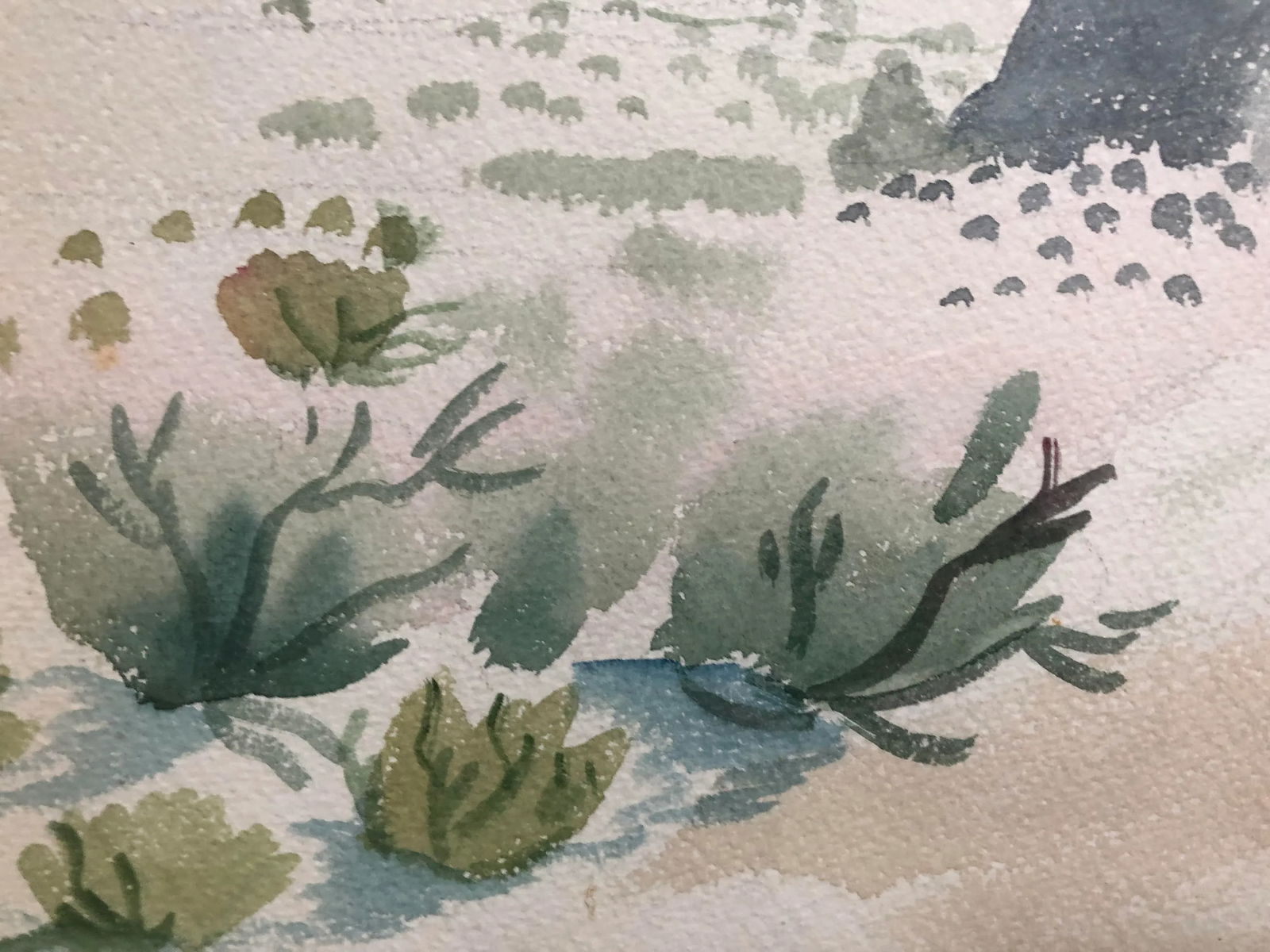 Vintage Desert Landscape Watercolor Painting - 4