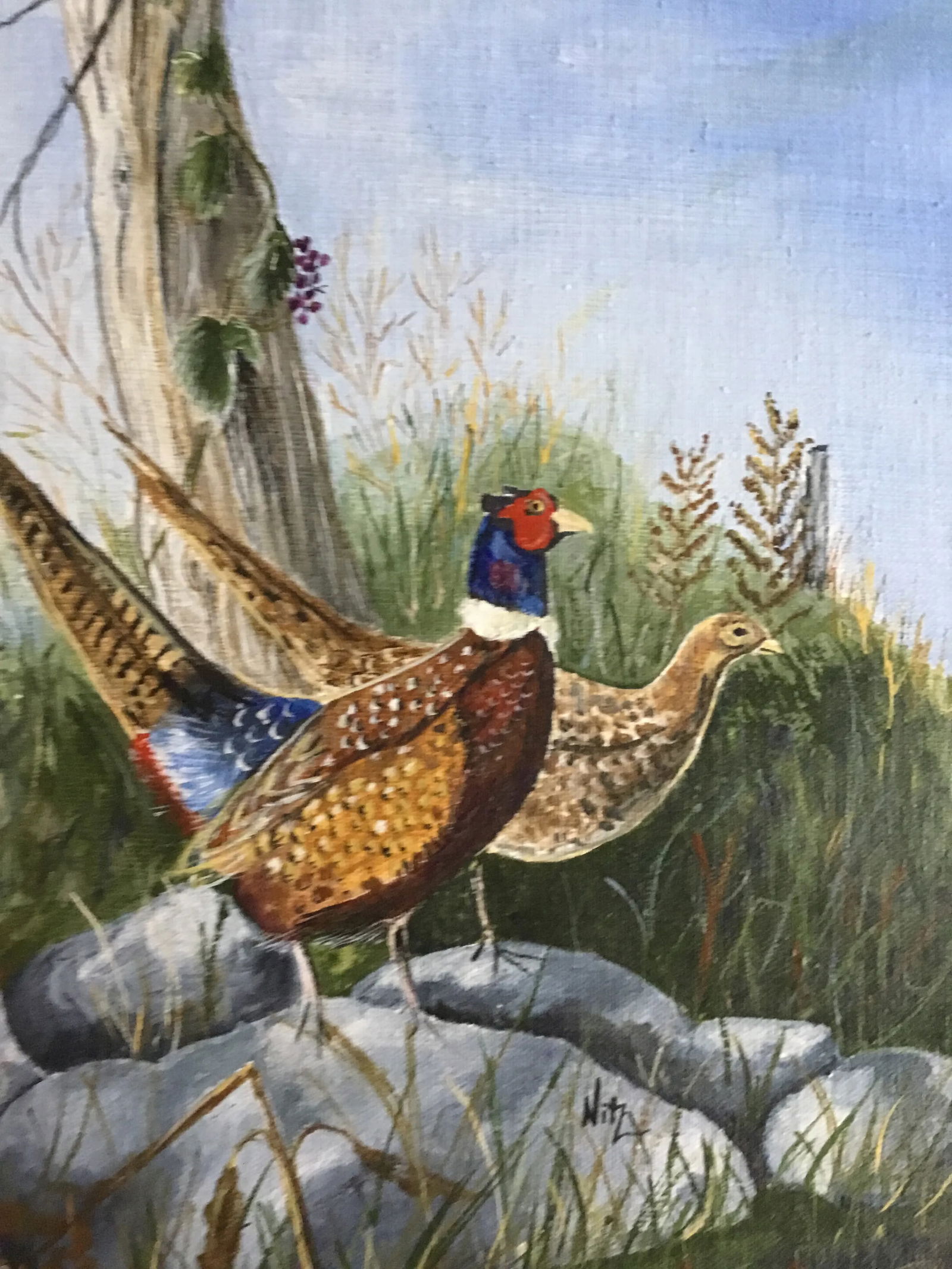 Late 20th Century Realist Acrylic Painting of Pheasants - 4
