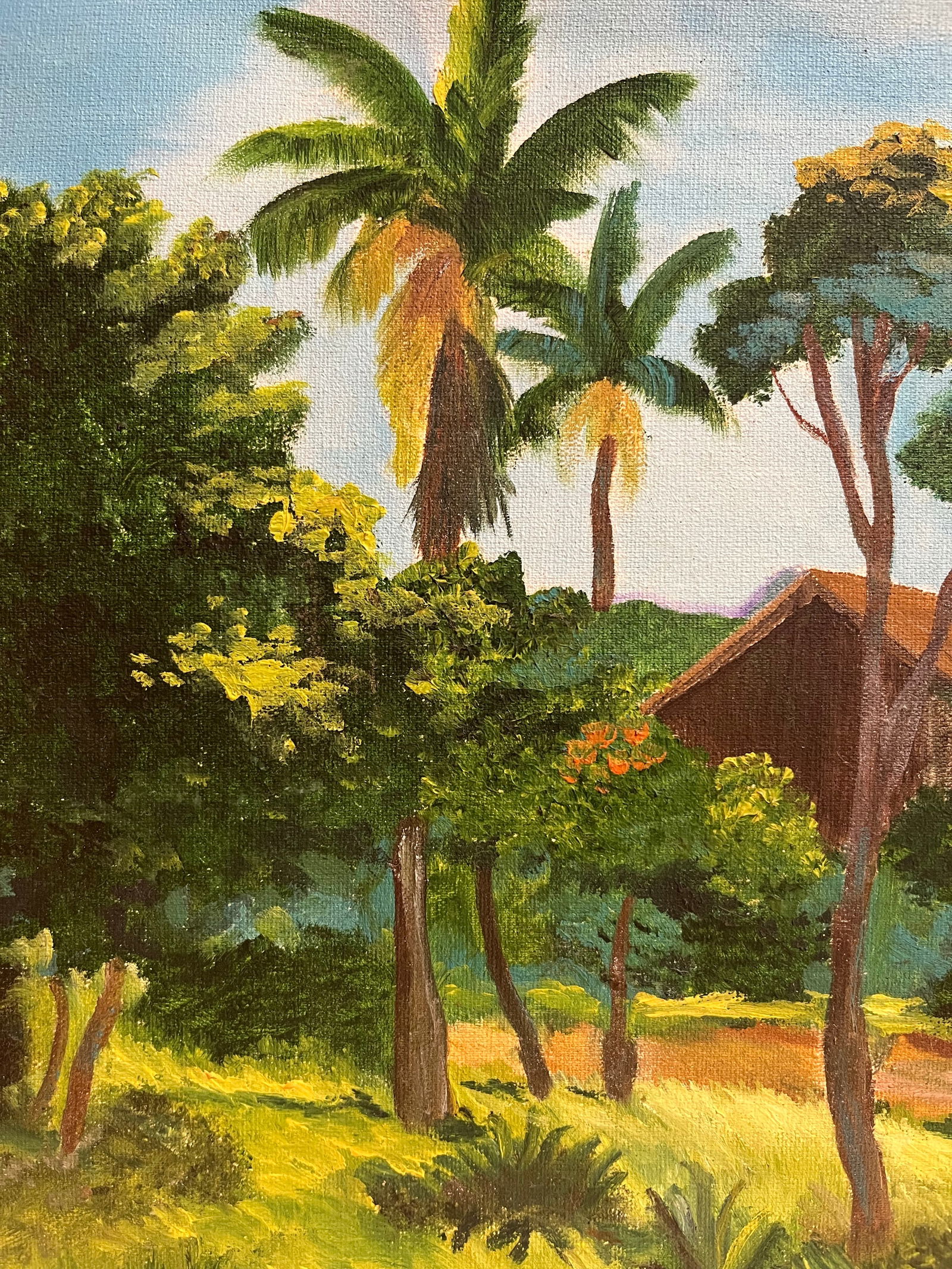 Oil on Canvas Painting of a Brazilian Ranch - 2