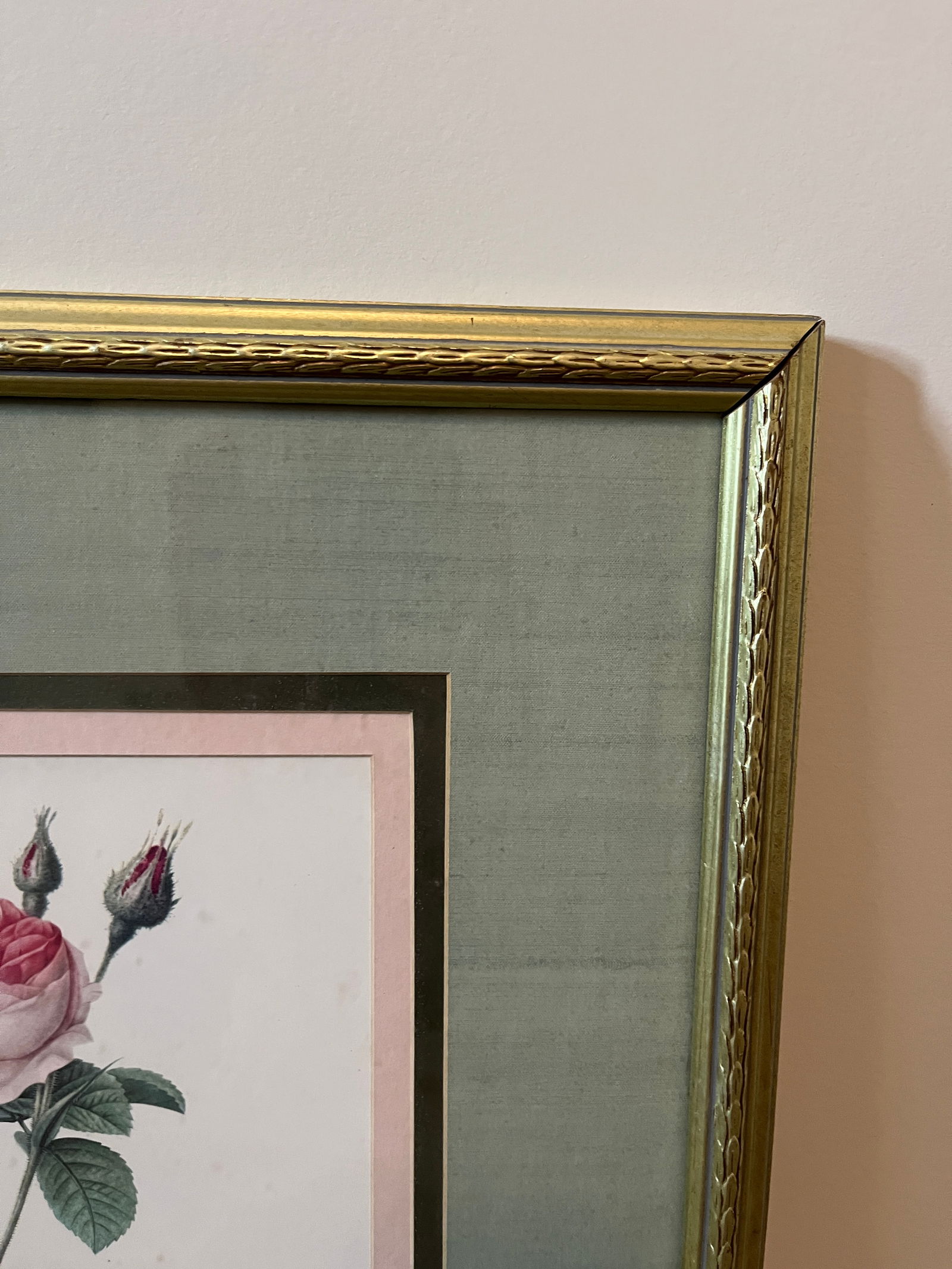Late 20th Century Framed Botanical Rose Print - 4