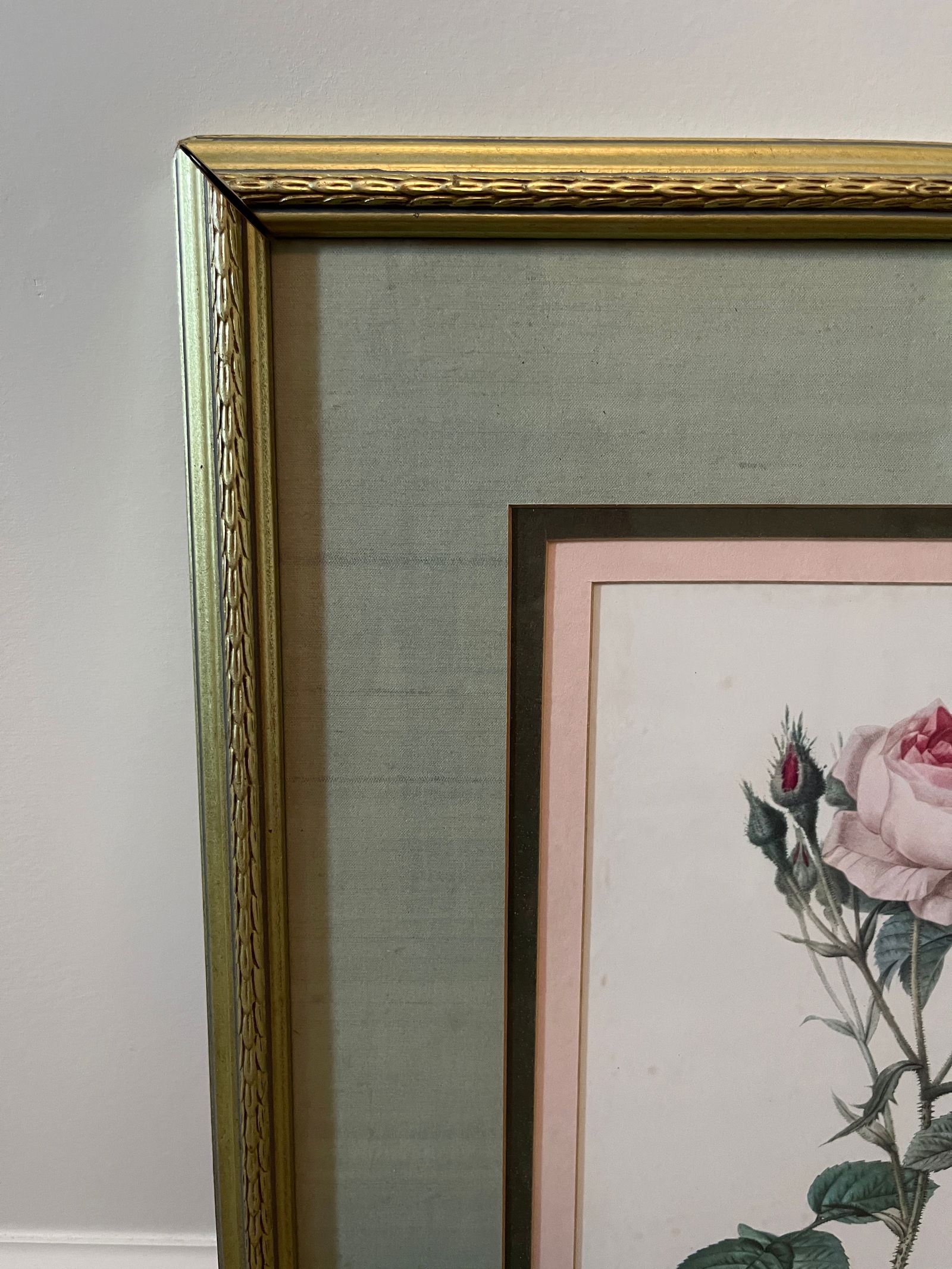 Late 20th Century Framed Botanical Rose Print - 5