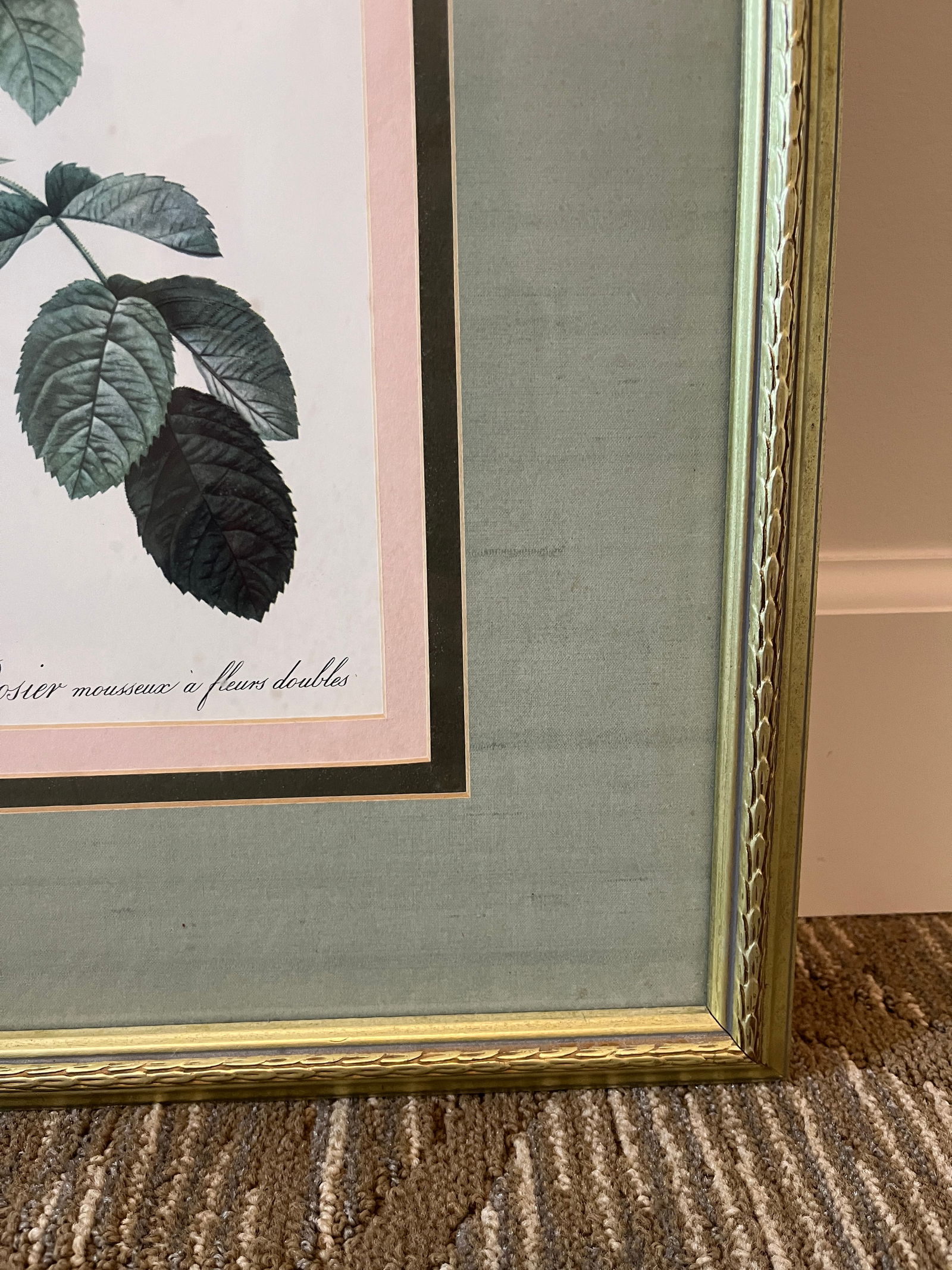 Late 20th Century Framed Botanical Rose Print - 6