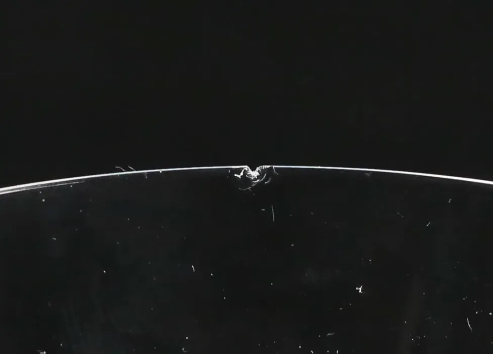 Circa 1926 Rene Lalique Guebwiller Stemware Set- 21 Pieces - 10