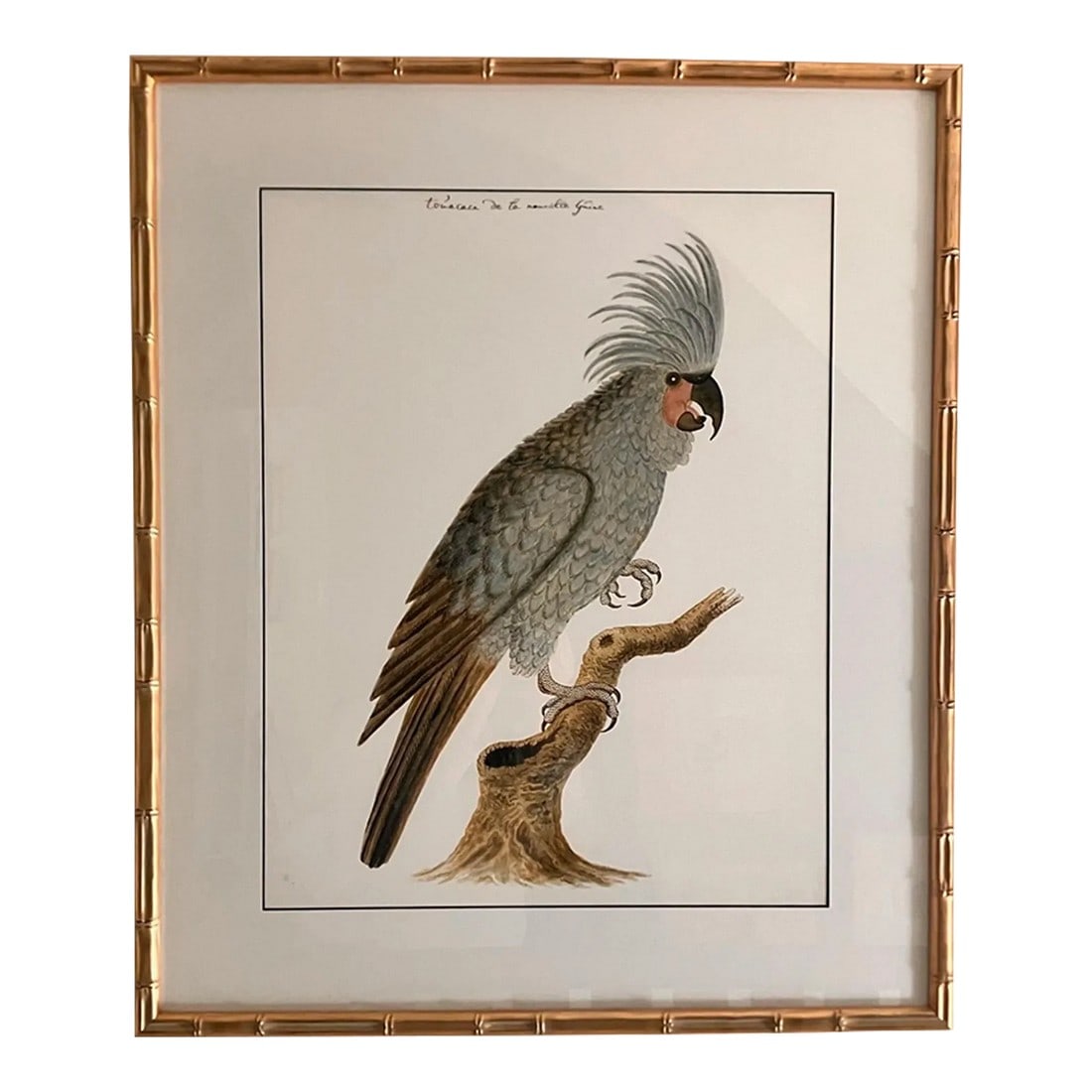 Cockatoo Bird Print in Gold Faux Bamboo Frame (1 of 5)