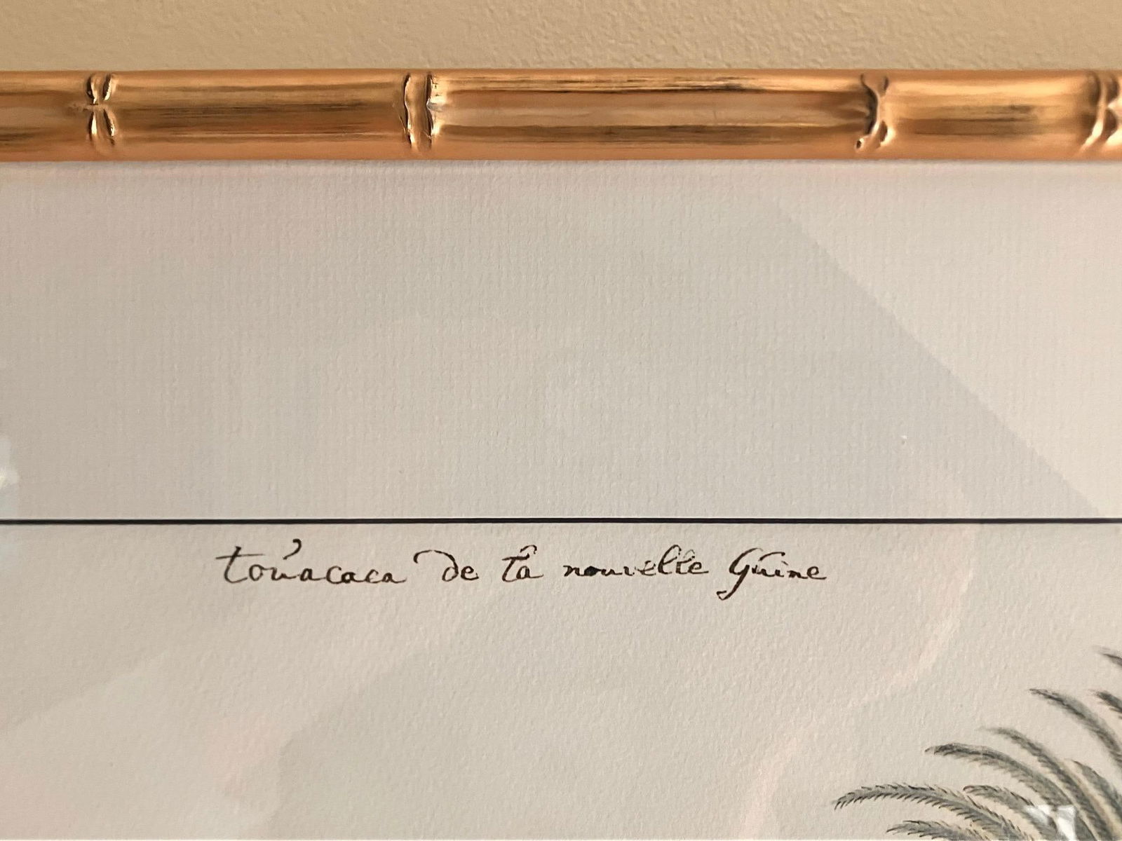 Cockatoo Bird Print in Gold Faux Bamboo Frame - 5