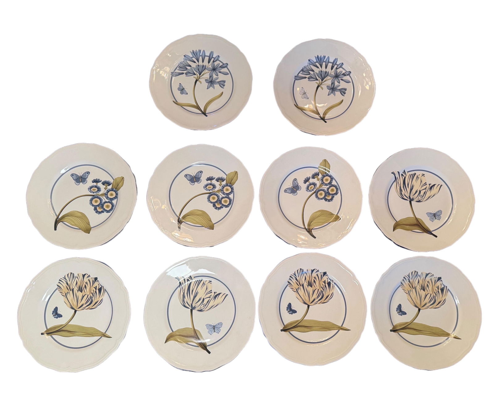 Colefax & Fowler " Tulip and Butterfly " 11 Inch Dinner Plates - Set of 10 - 2