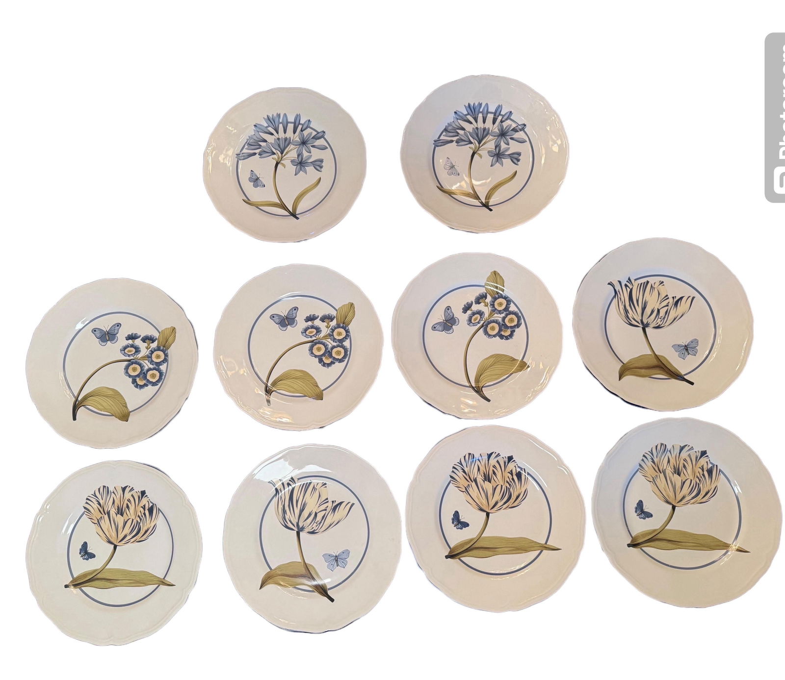 Colefax & Fowler " Tulip and Butterfly " 11 Inch Dinner Plates - Set of 10 - 3