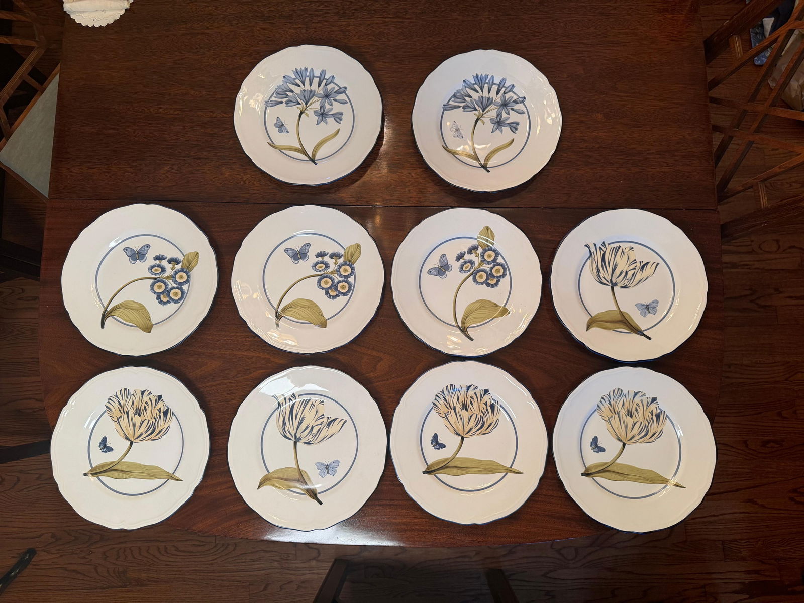 Colefax & Fowler " Tulip and Butterfly " 11 Inch Dinner Plates - Set of 10 - 6