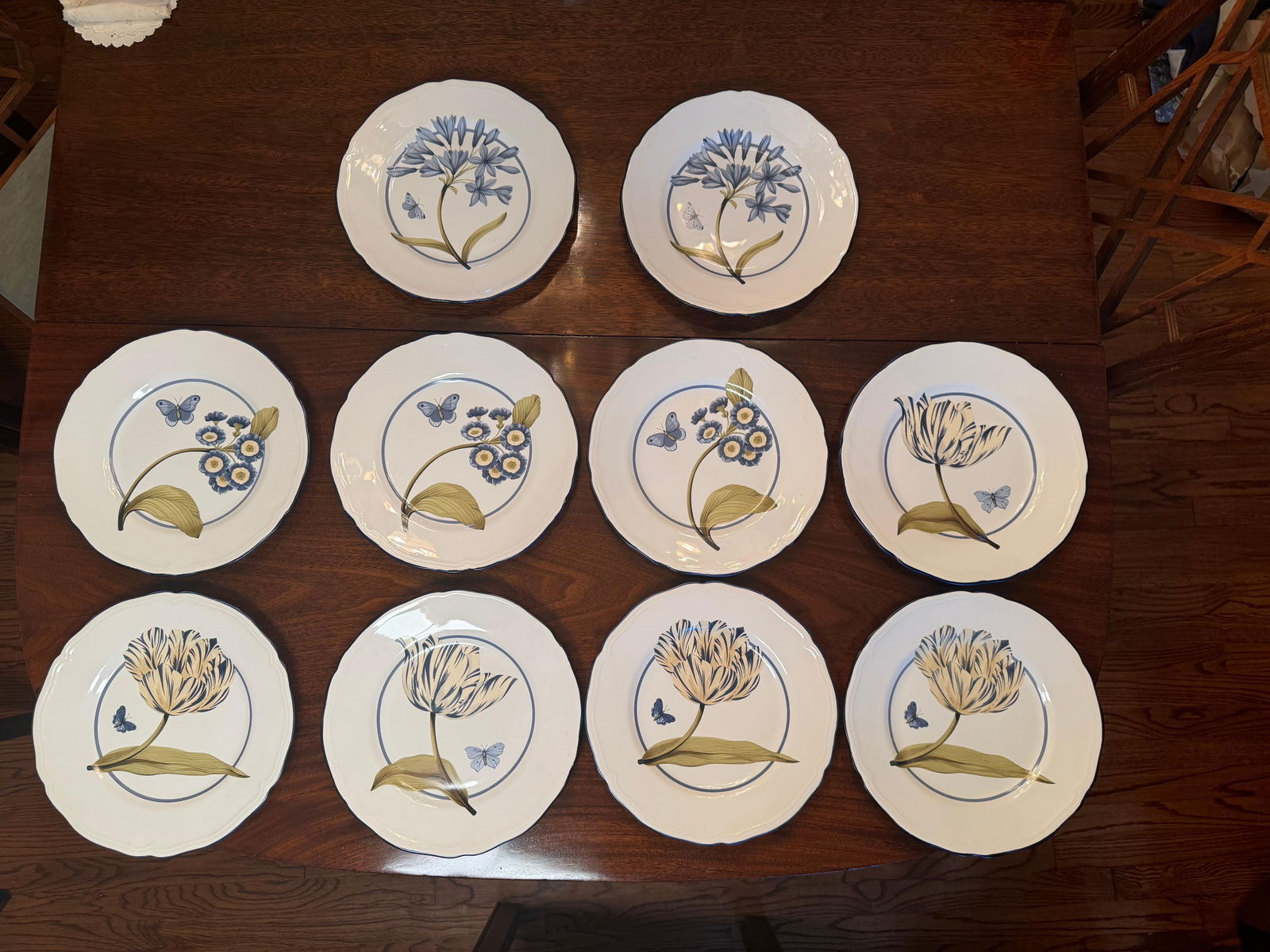 Colefax & Fowler " Tulip and Butterfly " 11 Inch Dinner Plates - Set of 10 - 8