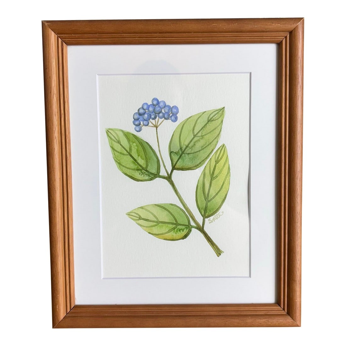 Blue Berry Stem Original Water Color Painting Signed and Framed: This charming piece features a slender stem with delicate blue berries and fresh green leaves, painted with soft, natural hues. The cool color palette makes it a versatile addition to any botanical-th