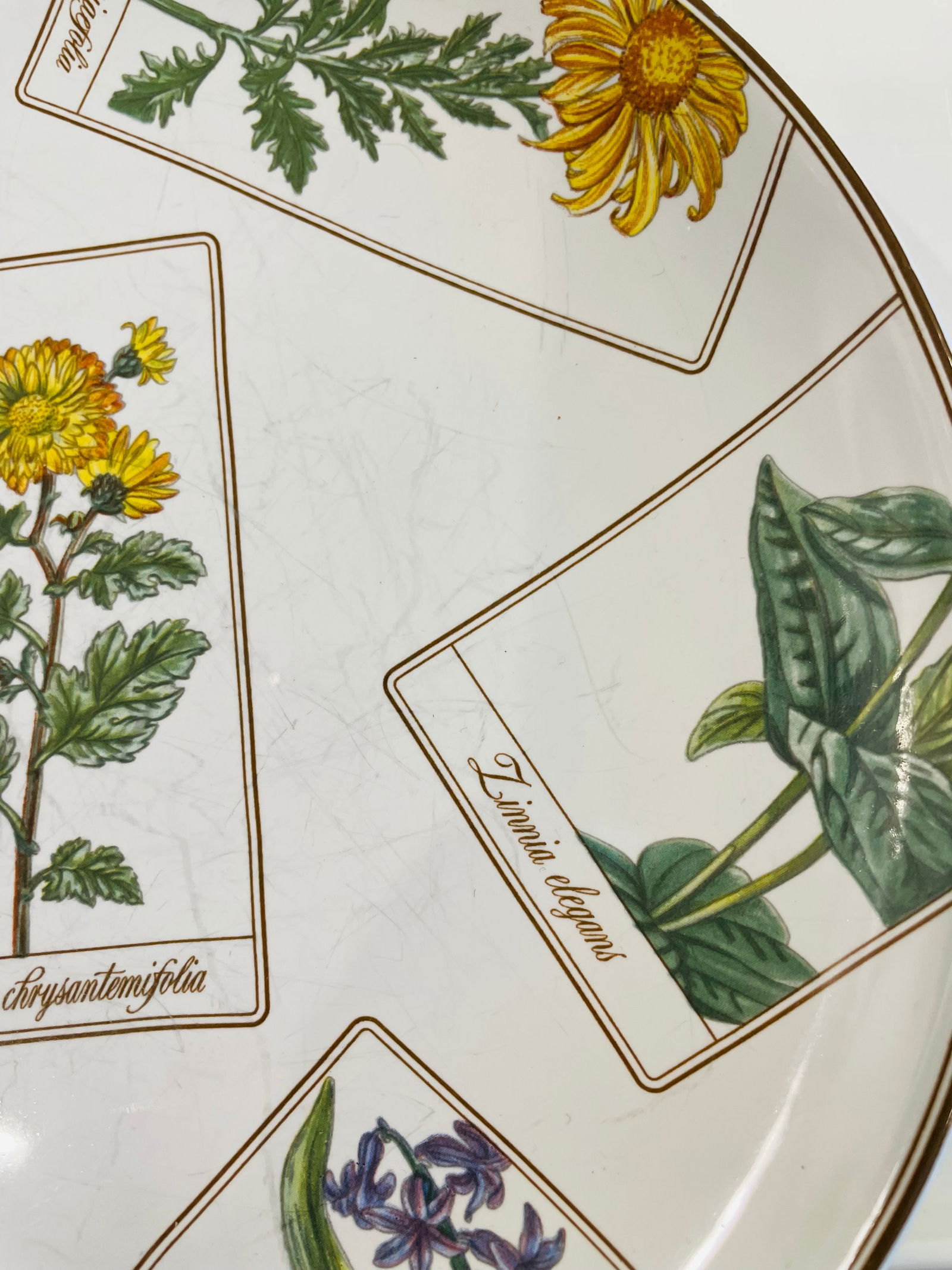 Discontinued Tiffany "Botanical" Plate - 1996 - 3