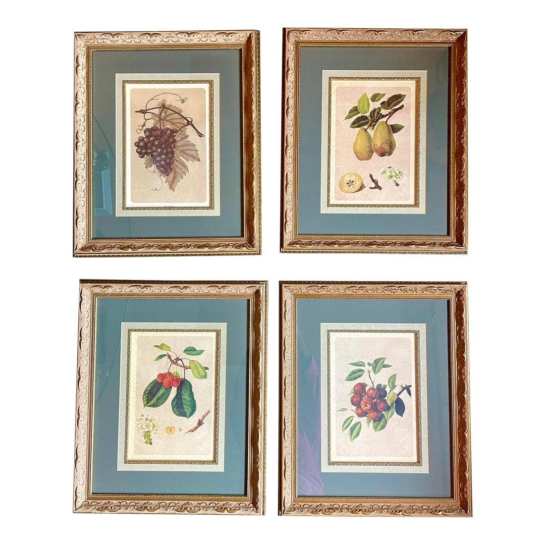 Set of Four Beautifully Framed Botanical Prints (1 of 9)