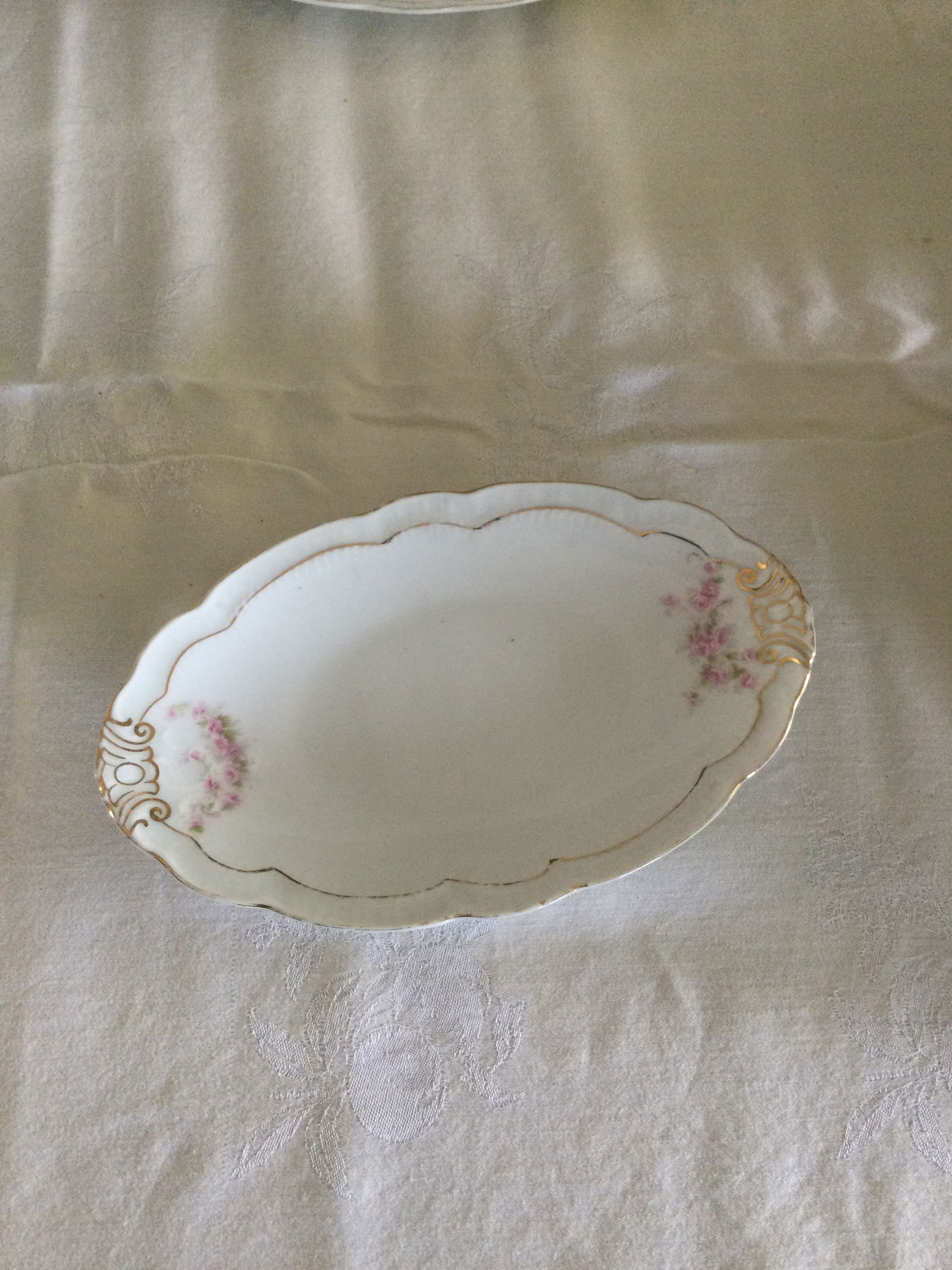 Antique Collectible Circa Late 1800's Orleans Z. S. & Co. Bavaria Germany Chic Roses 85 Pieces Dinne - 9