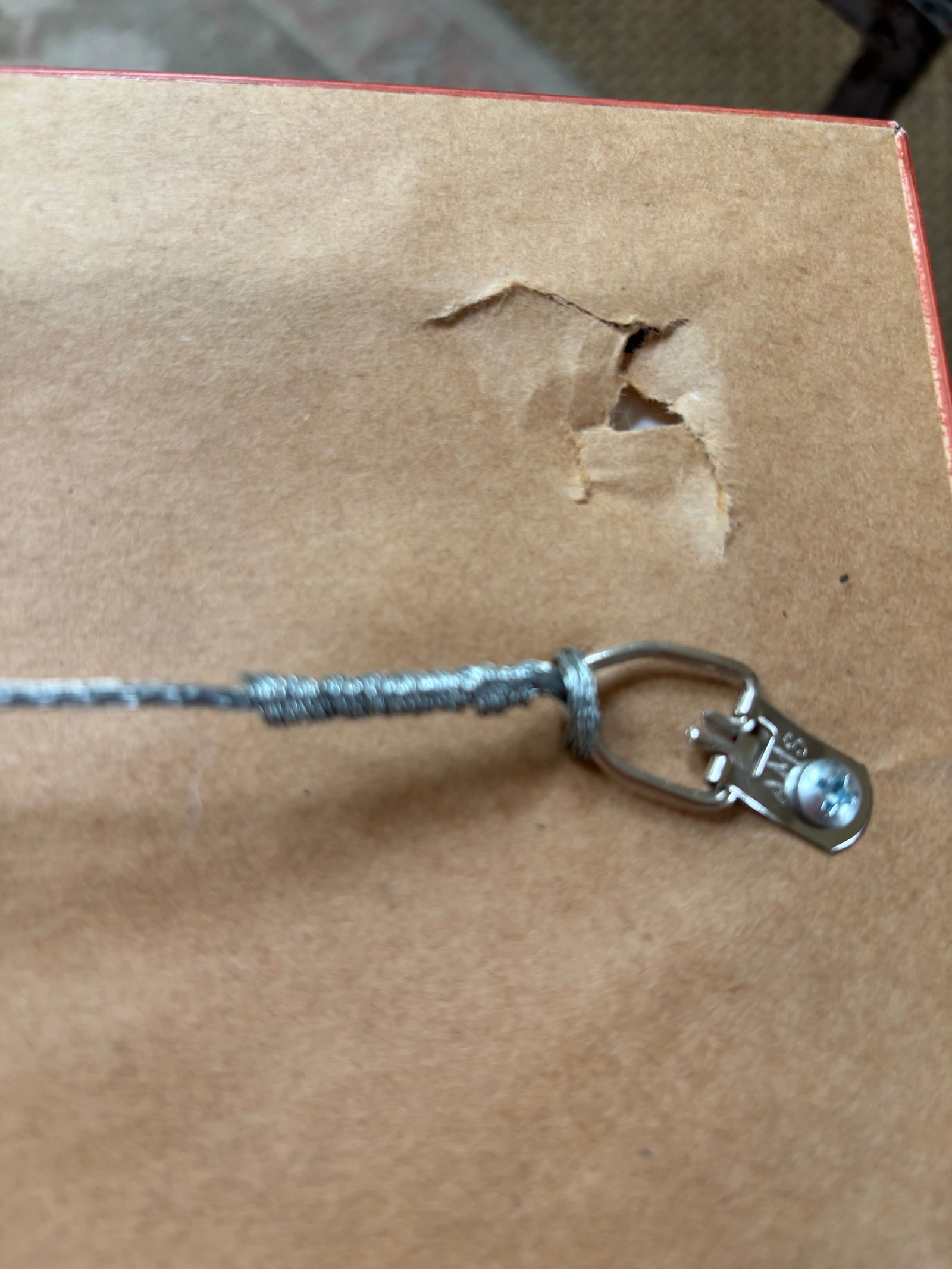 Signed European Impressionist Pastoral Oil Painting With Cows, Framed - 9