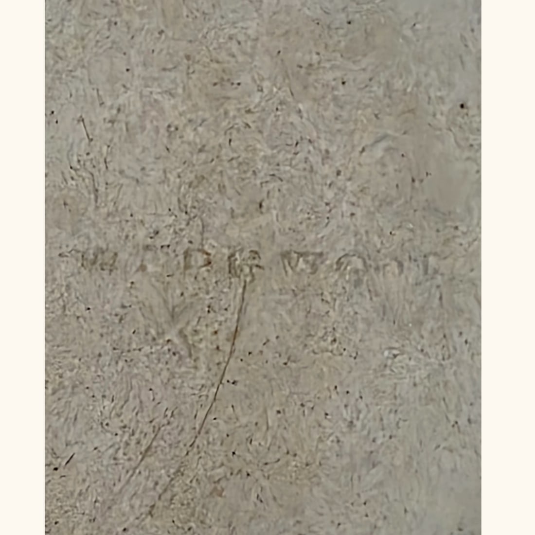 Early 20th Century Antique Wedgwood Jasperware Round Trinket Box With Lid - 6