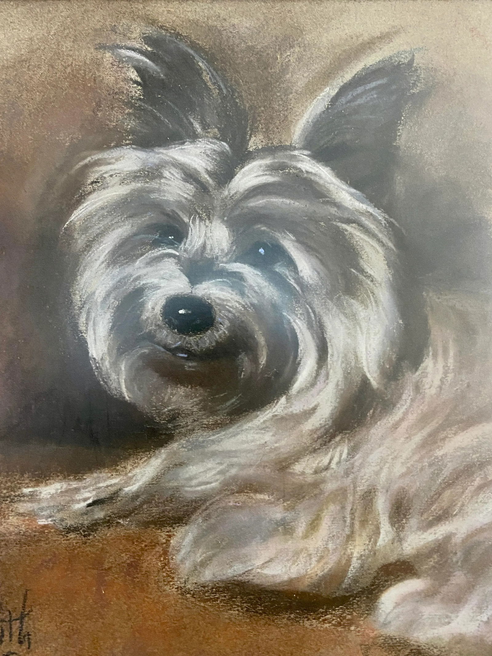 1980s Yorkshire Terrier Dog Portrait Pastel Drawing, Framed - 4