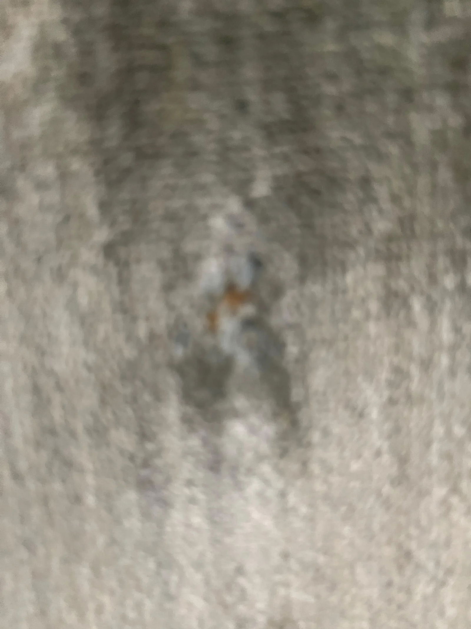 Hickory Chair Co. Mahogany Armchairs Sage Green Velvet Brass Nailhead Trim - a Pair - 10