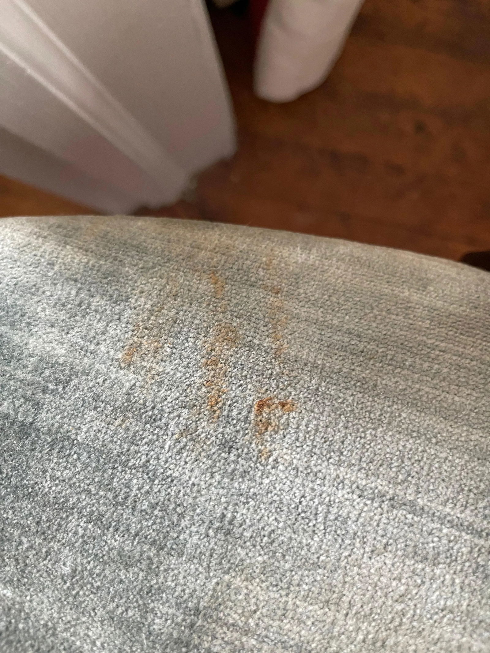 Hickory Chair Co. Mahogany Armchairs Sage Green Velvet Brass Nailhead Trim - a Pair - 11