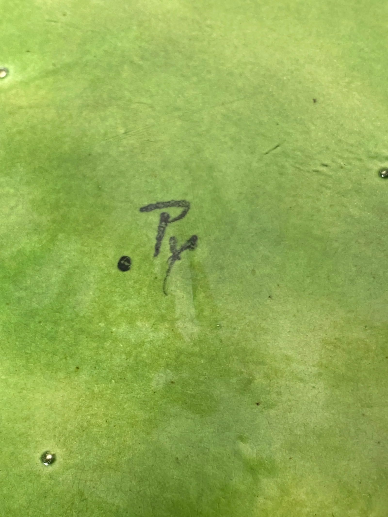 Vintage Pat Young Dodie Thayer-Style Cabbage Plates- Set of 3 - 7