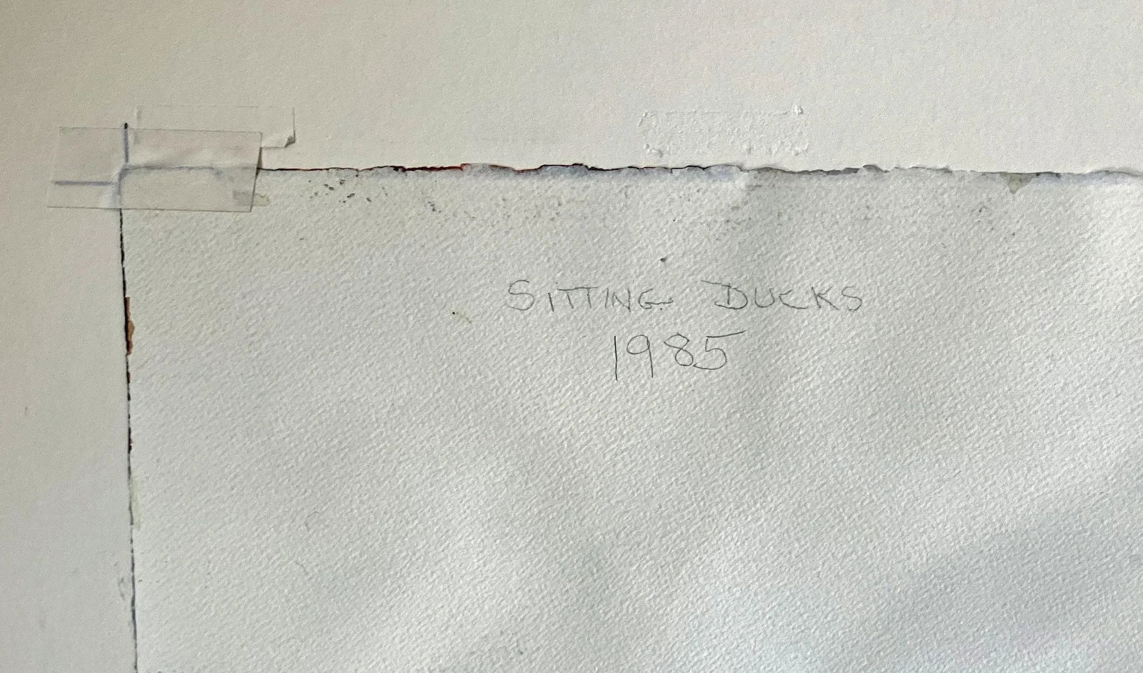 Sitting Ducks Patricia Hunter Realist Watercolor Painting - 8