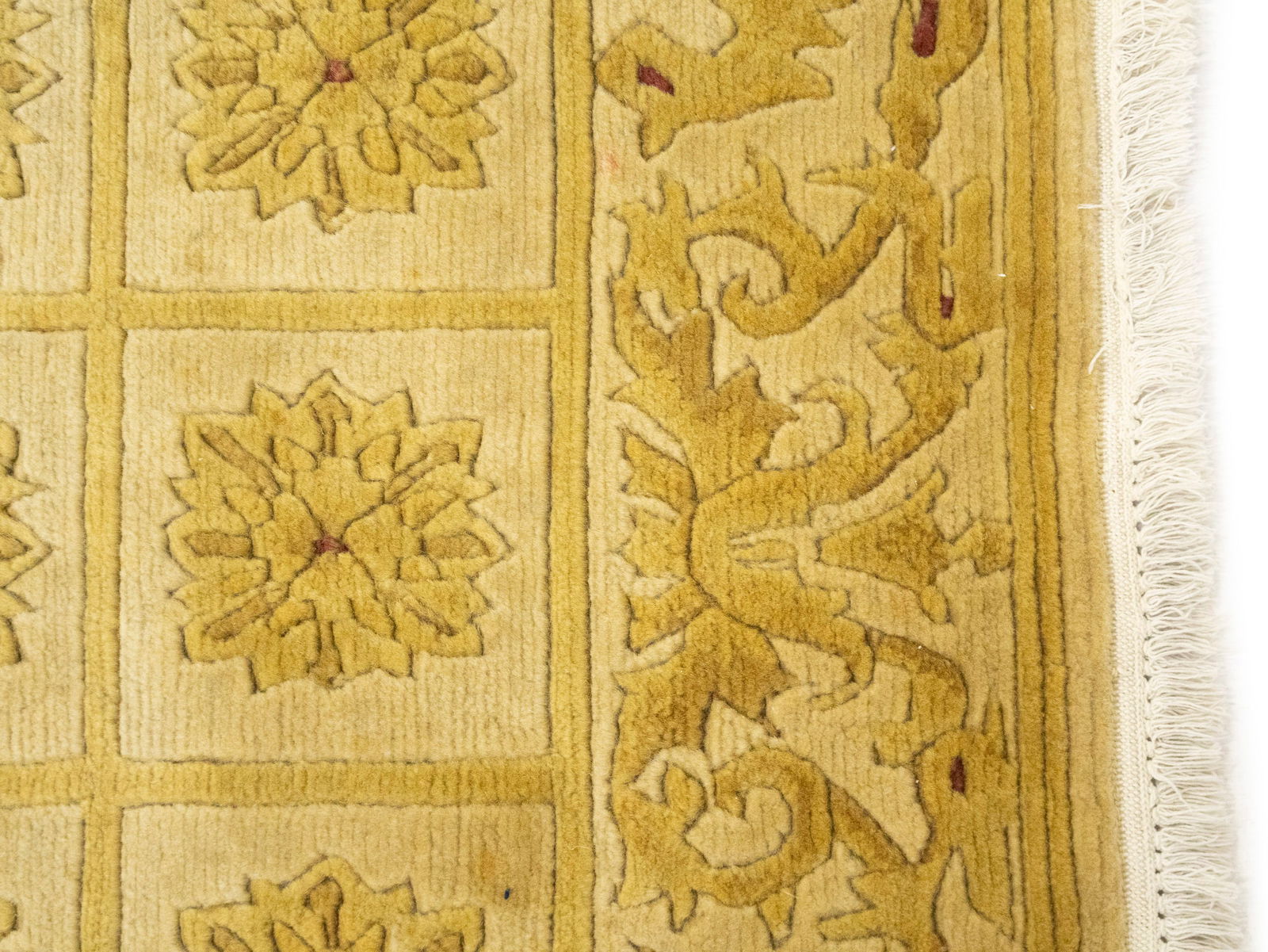 Golden Beige Modern 3X5 Nepali Oriental Rug - 8