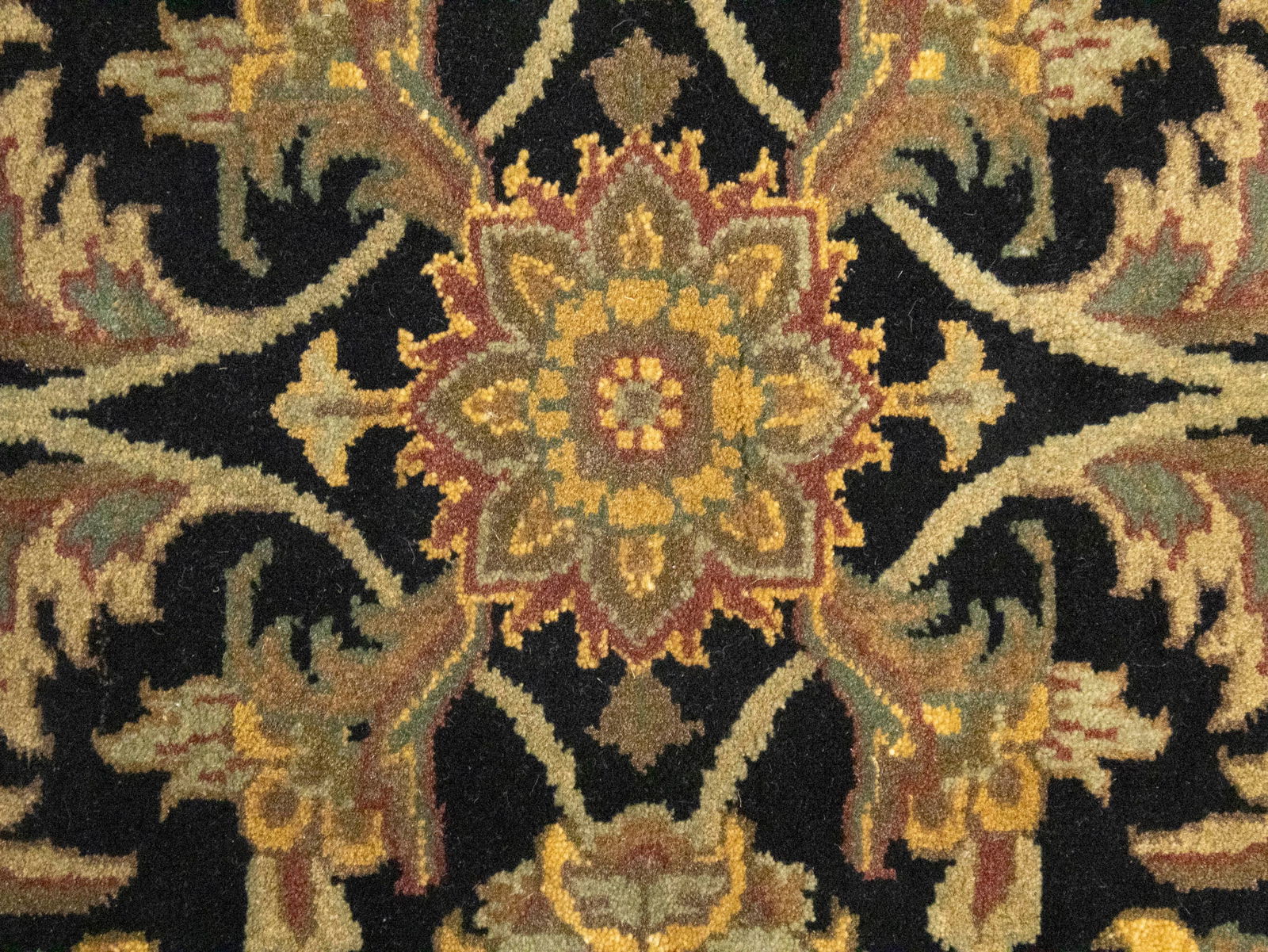 Black Floral Classic 4X6 Agra Jaipur Oriental Rug - 8