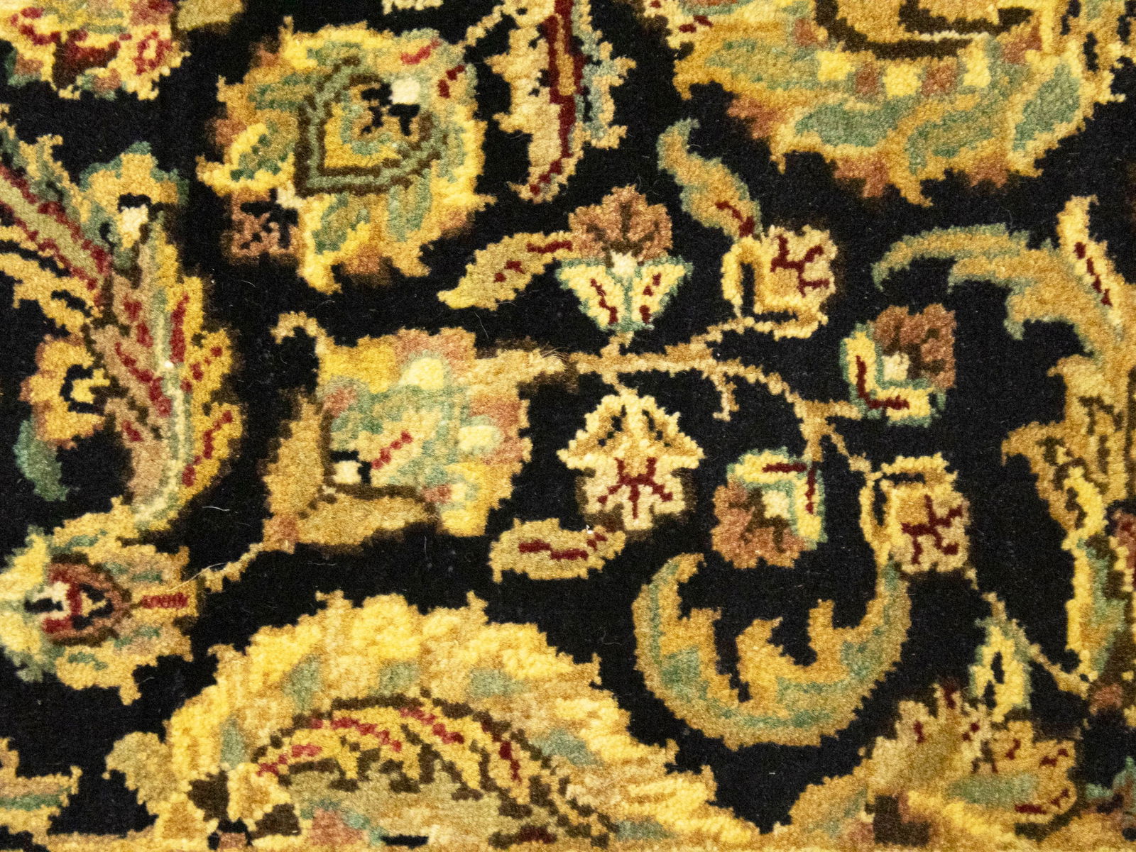 Black Floral Classic 3X5 Agra Jaipur Oriental Rug - 12