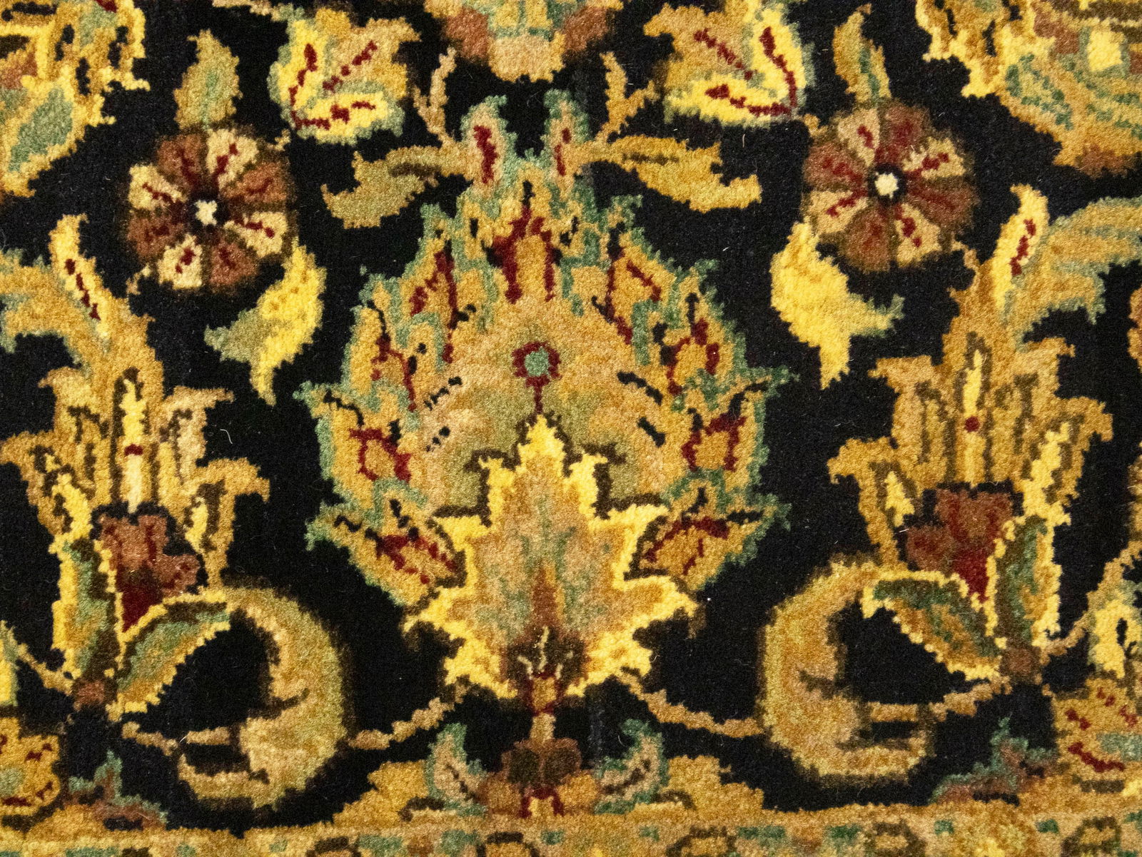 Black Floral Classic 3X5 Agra Jaipur Oriental Rug - 13