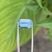 Sky Blue Aquamarine Gemstone: Emerald Cut Ring Stone, 3.70 ct - 14
